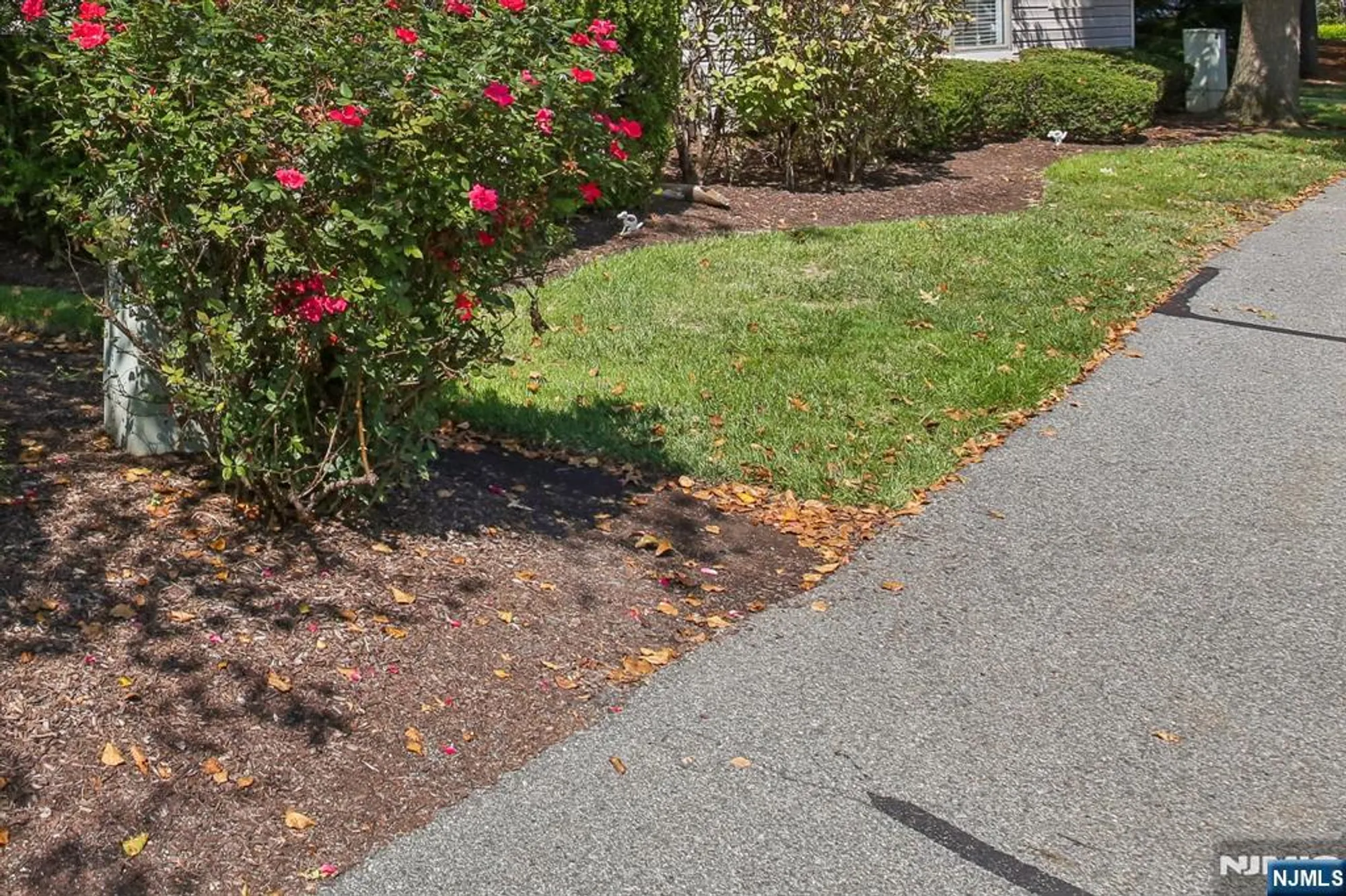 Property Slideshow image 22 of 27 | 136 changebridge rd b8, Montville, NJ, 07045