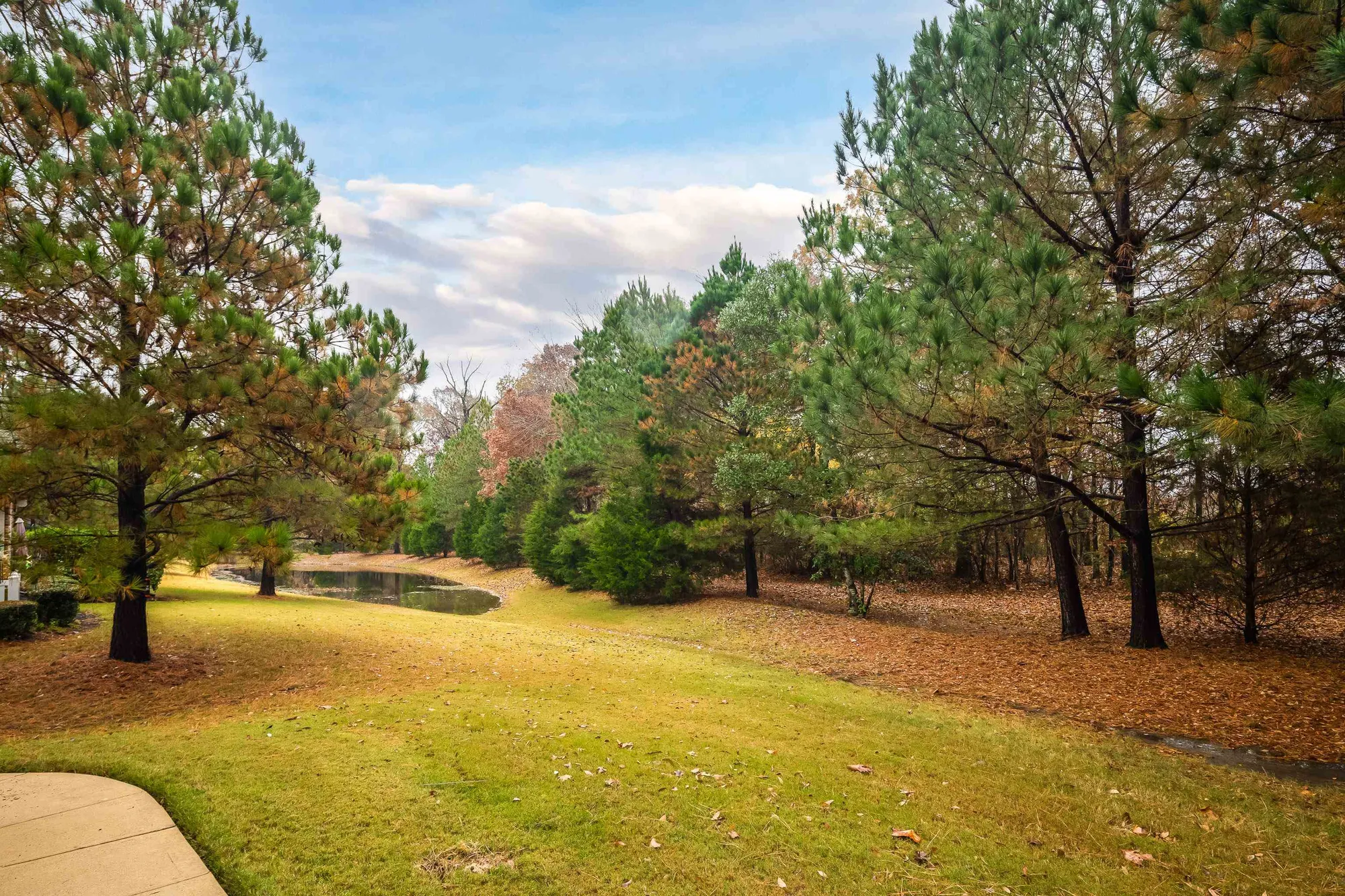 Property Slideshow image 4 of 36 | 781 stonevillage cv # 28, Collierville, TN, 38017