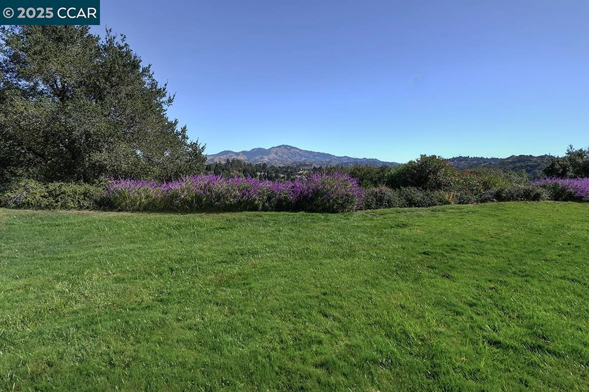 Property Slideshow image 3 of 48 | 2148 golden rain rd apt 1, Walnut Creek, CA, 94595