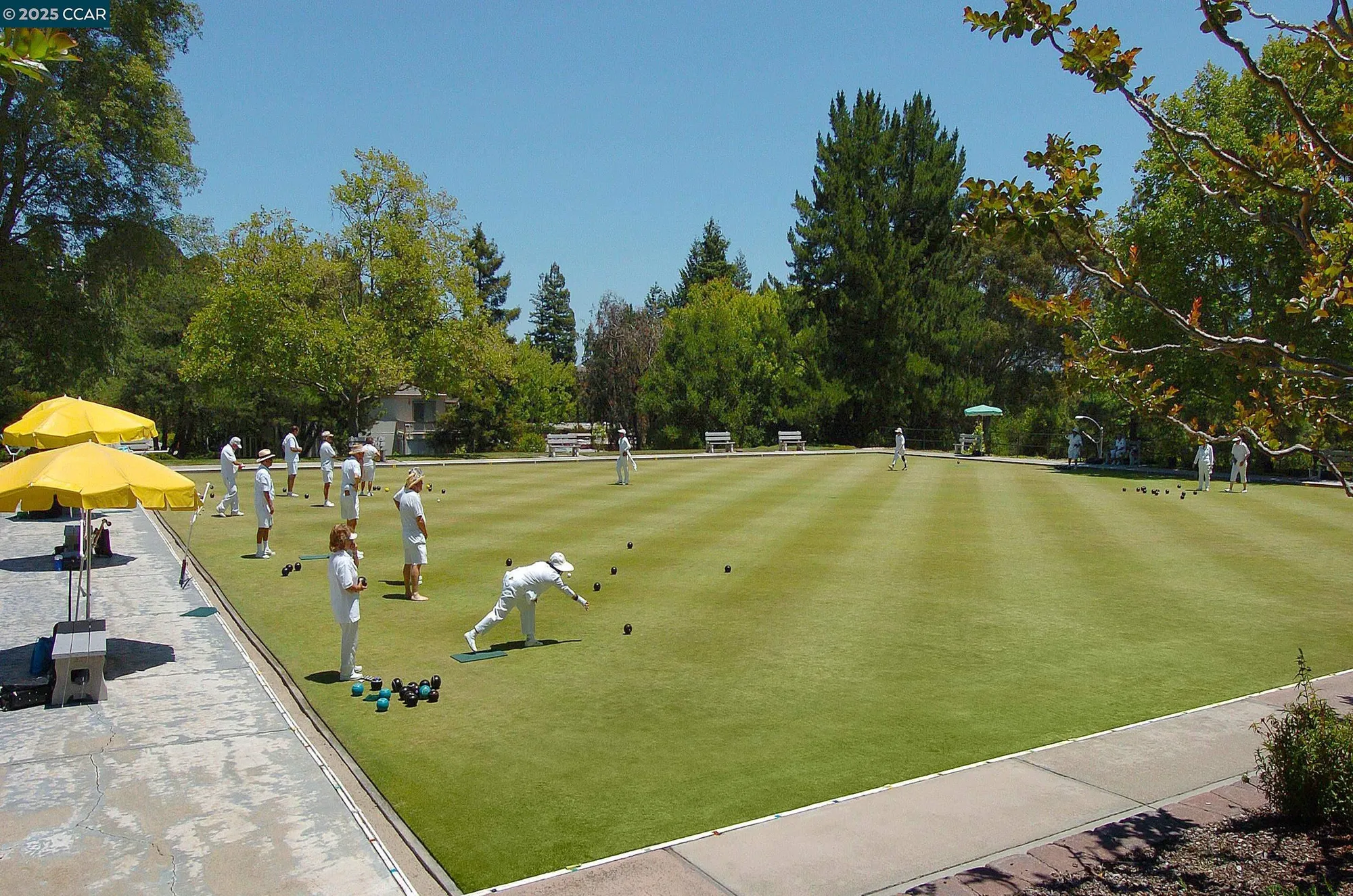 Property Slideshow image 45 of 48 | 2148 golden rain rd apt 1, Walnut Creek, CA, 94595