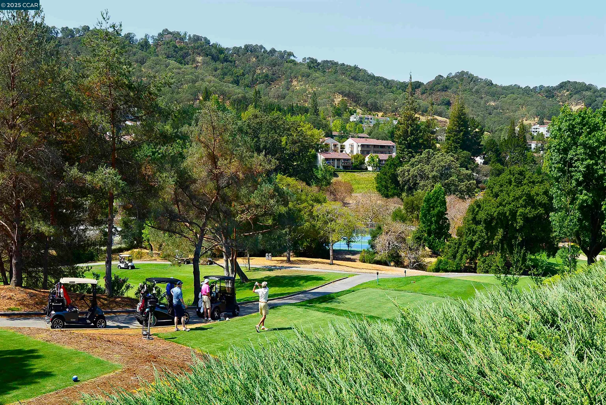 Property Slideshow image 41 of 48 | 2148 golden rain rd apt 1, Walnut Creek, CA, 94595