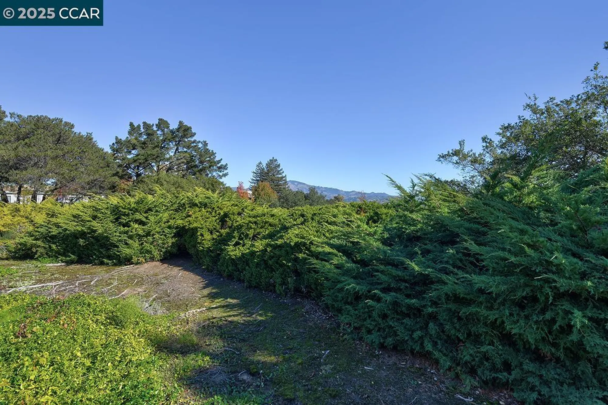 Property Slideshow image 13 of 58 | 2409 golden rain rd apt 6, Walnut Creek, CA, 94595