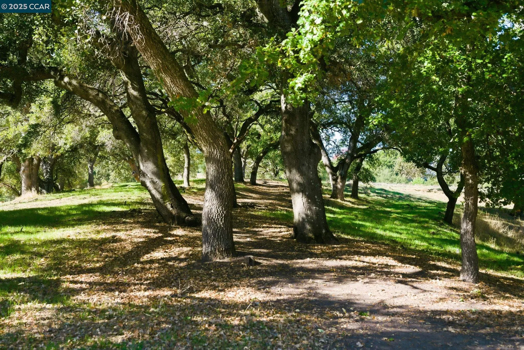 Property Slideshow image 49 of 60 | 1940 golden rain rd apt 5, Walnut Creek, CA, 94595