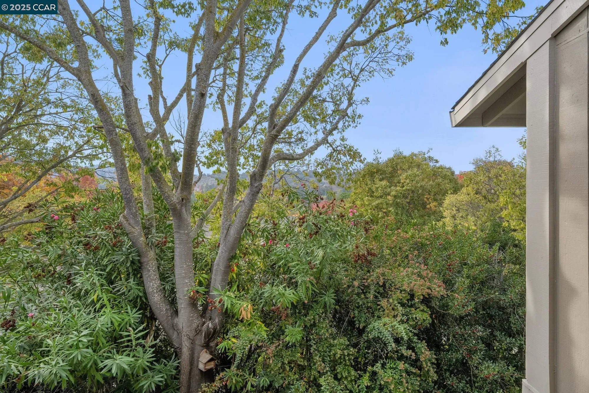 Property Slideshow image 42 of 48 | 870 terra california dr 5, Walnut Creek, CA, 94595