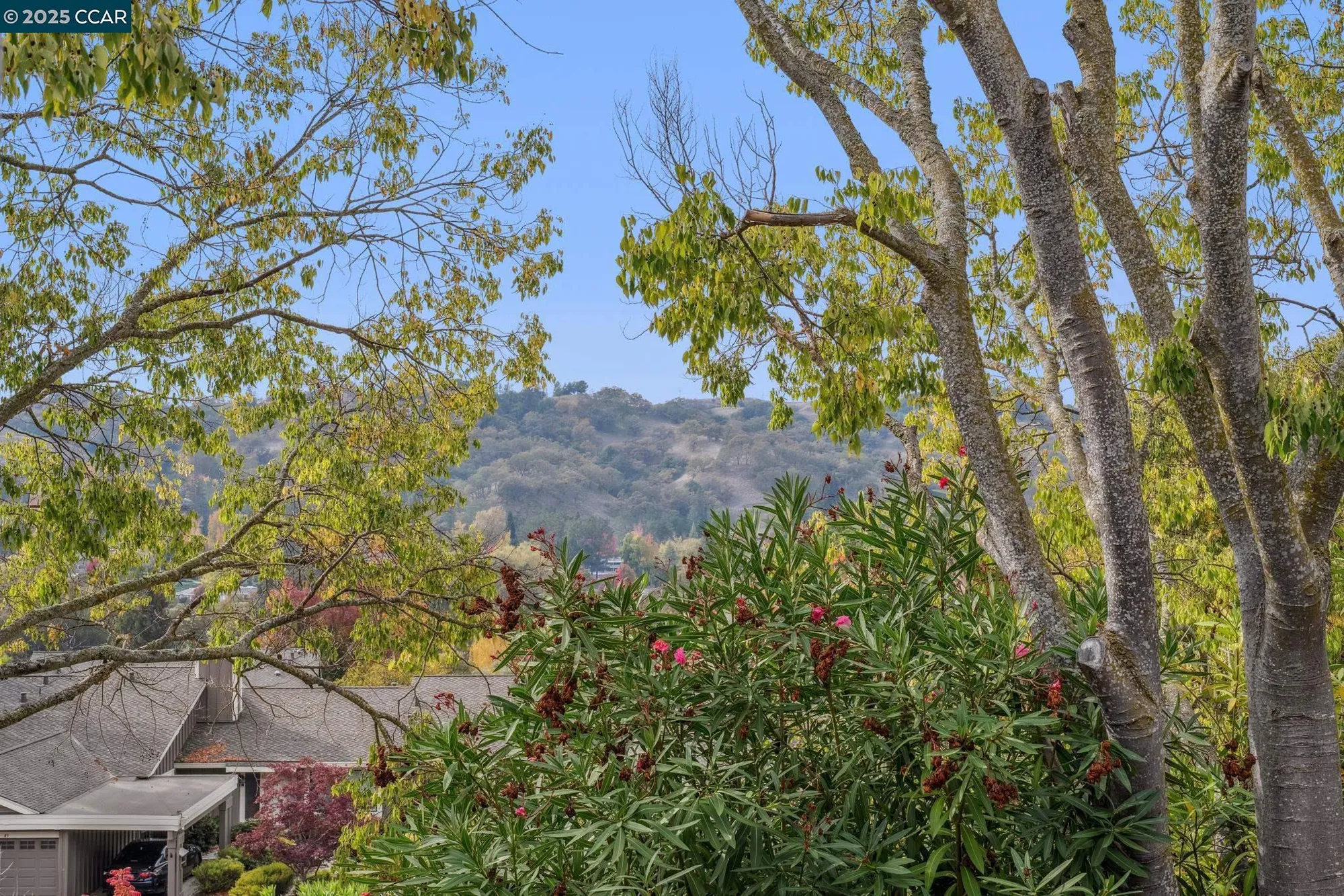 Property Slideshow image 43 of 48 | 870 terra california dr 5, Walnut Creek, CA, 94595