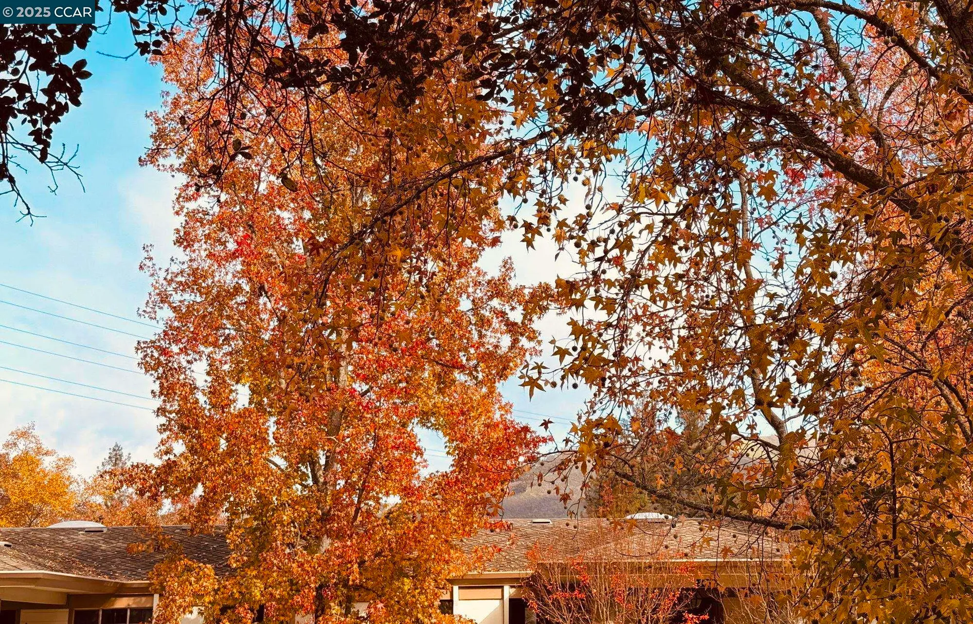 Property Slideshow image 16 of 33 | 3465 tice creek dr 4, Walnut Creek, CA, 94595