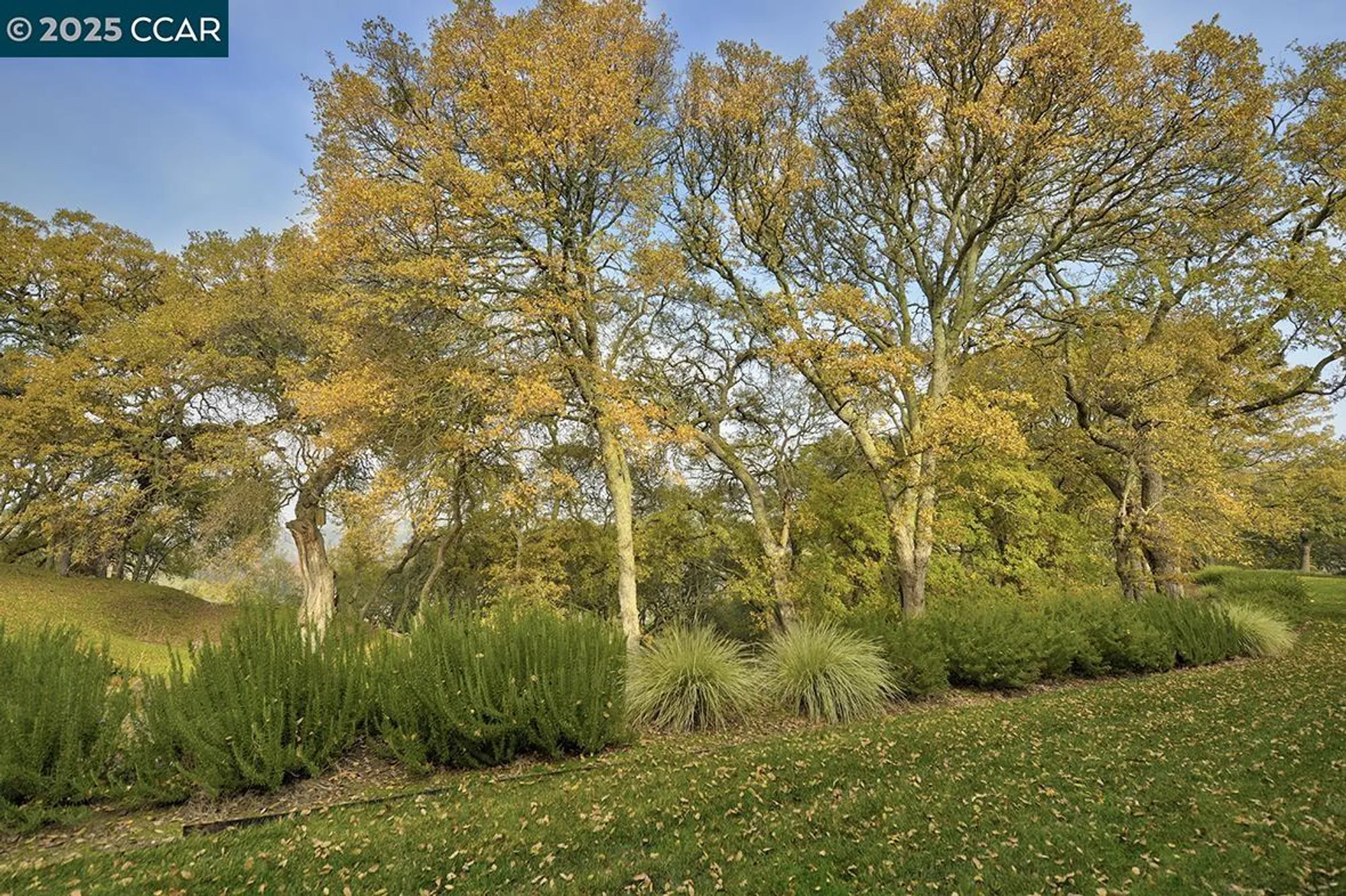 Property Slideshow image 20 of 59 | 2748 ptarmigan dr apt 6, Walnut Creek, CA, 94595