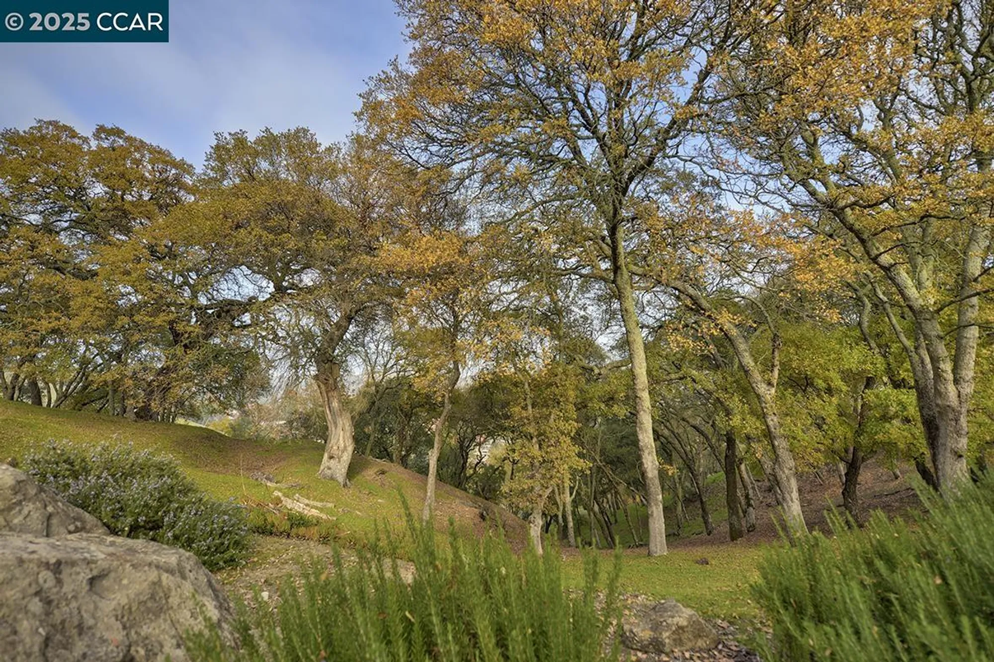 Property Slideshow image 22 of 59 | 2748 ptarmigan dr apt 6, Walnut Creek, CA, 94595