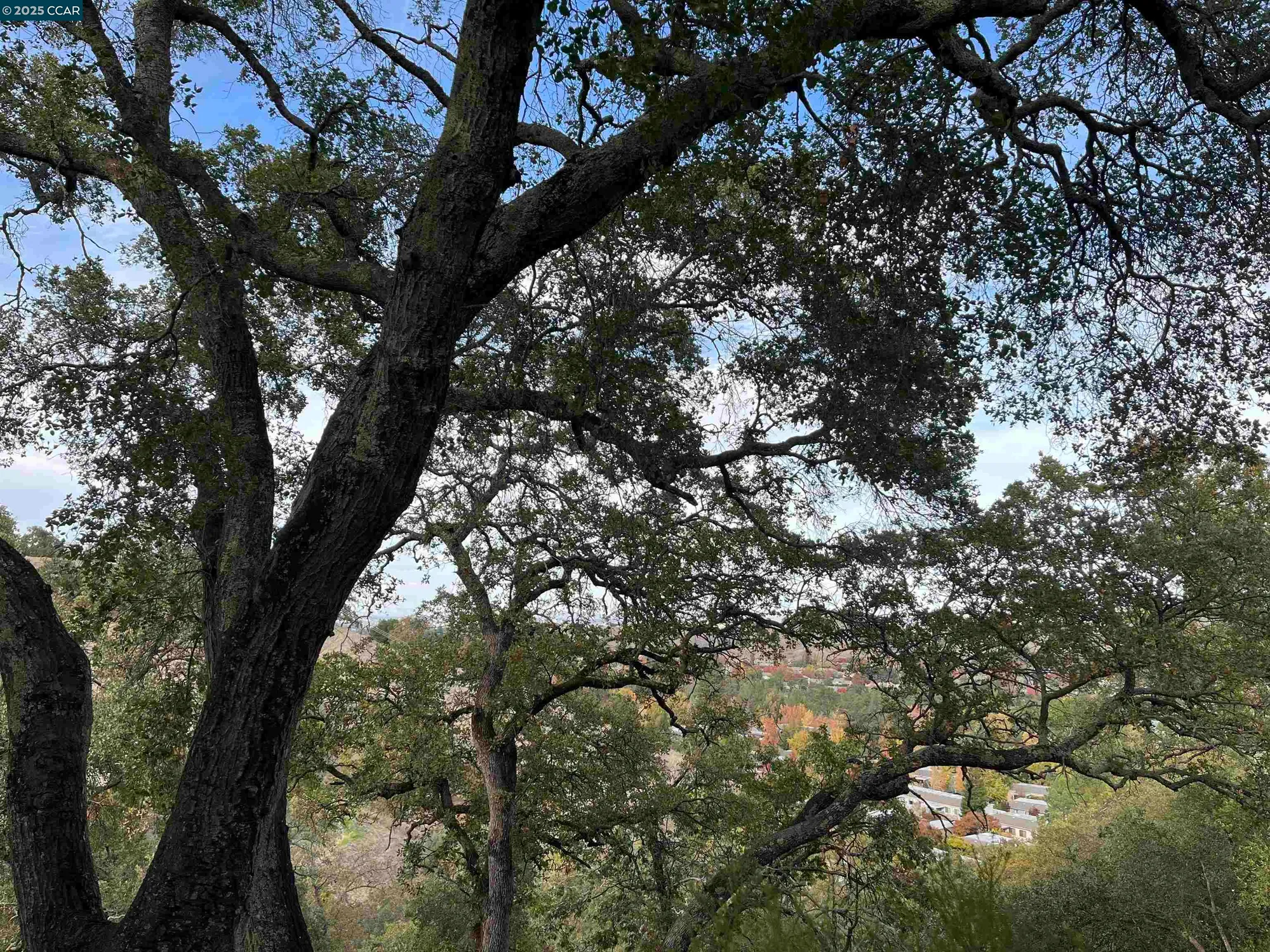 Property Slideshow image 1 of 2 | 3120 ptarmigan dr 3, Walnut Creek, CA, 94595