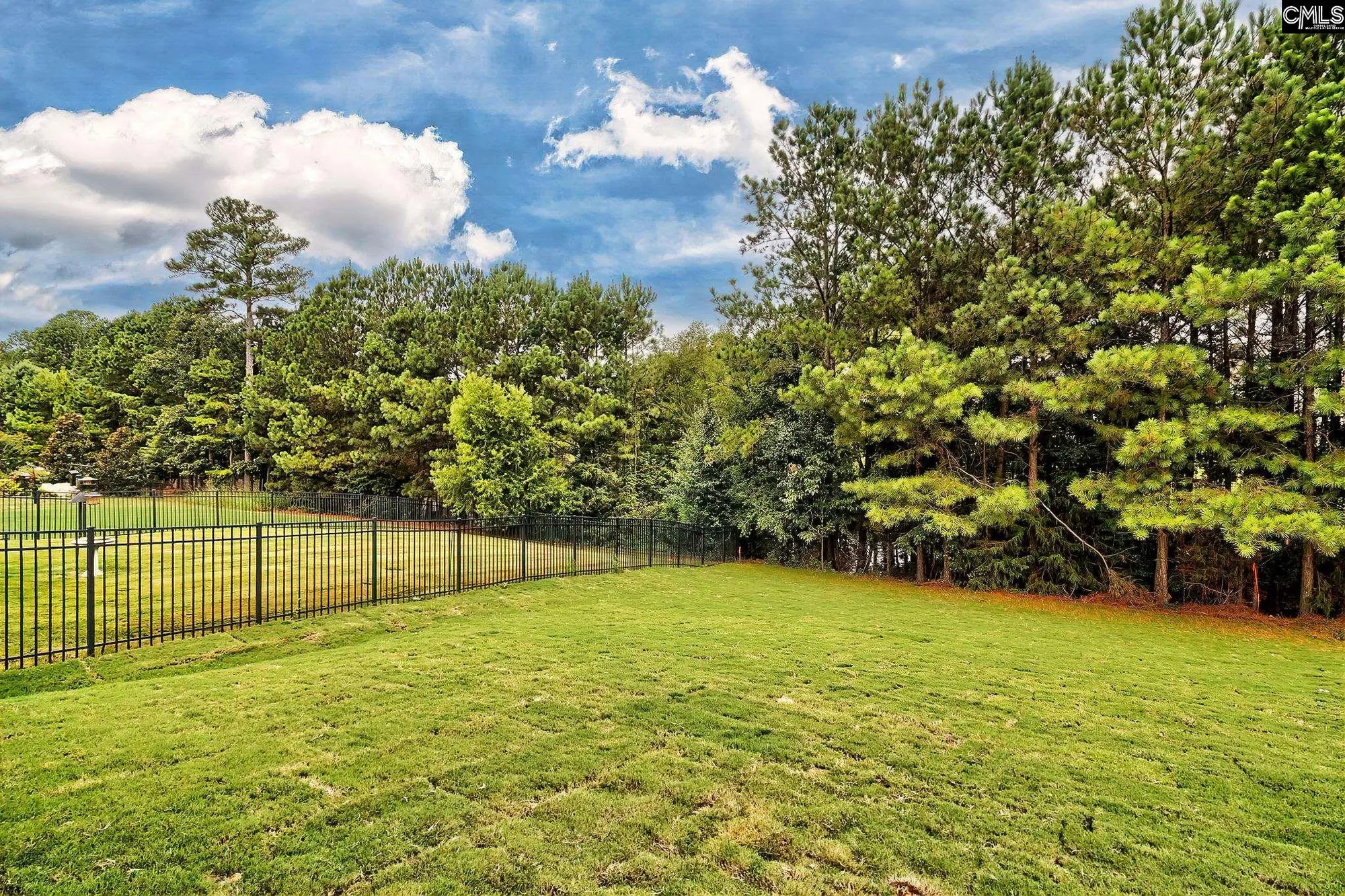 Property Slideshow image 12 of 14 | 726 carolina aster dr, Blythewood, SC, 29016