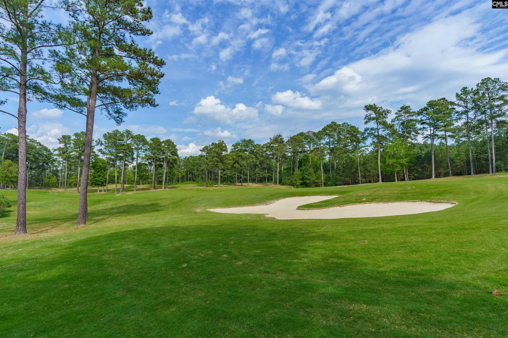 Property Slideshow image 48 of 57 | 383 summersweet ct, Blythewood, SC, 29016