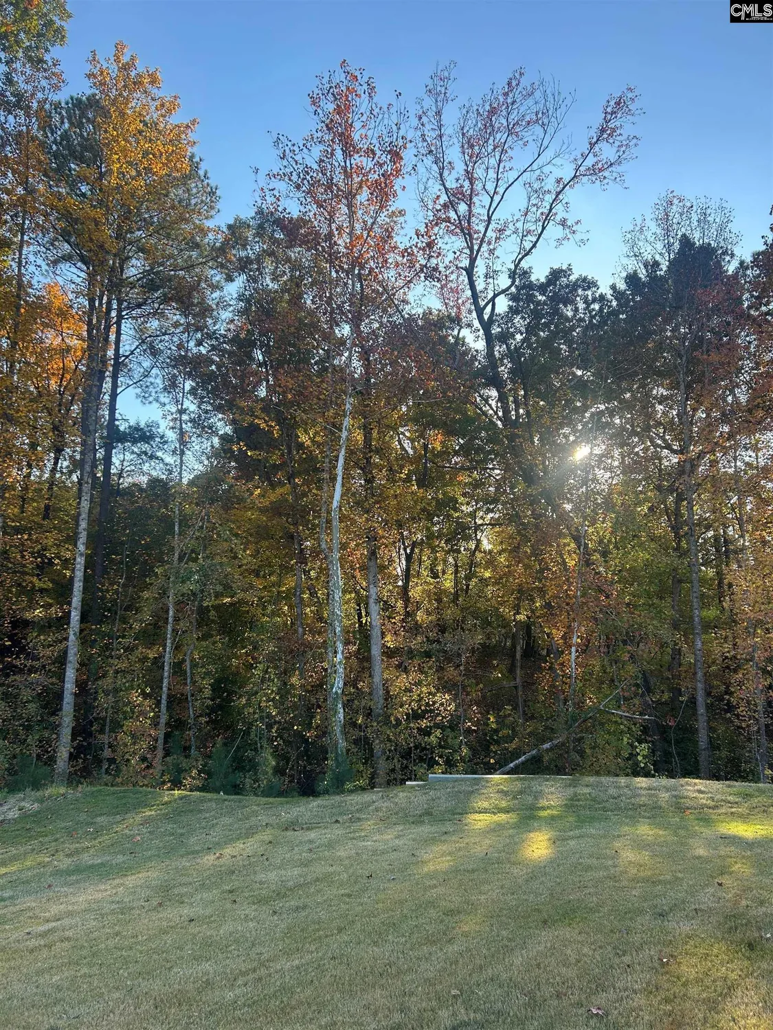Property Slideshow image 29 of 31 | 1453 trailhead ln, Lexington, SC, 29072