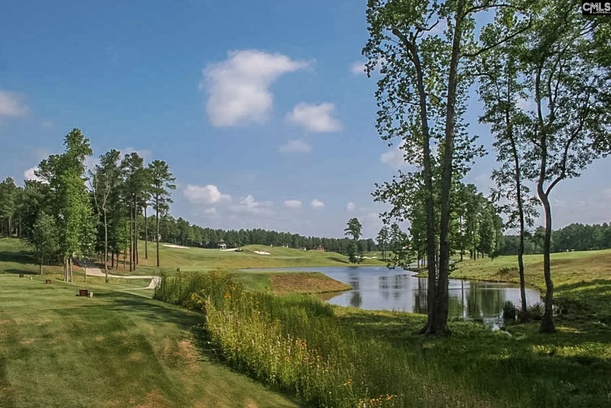 Property Slideshow image 45 of 56 | 605 scarlet baby dr, Blythewood, SC, 29016