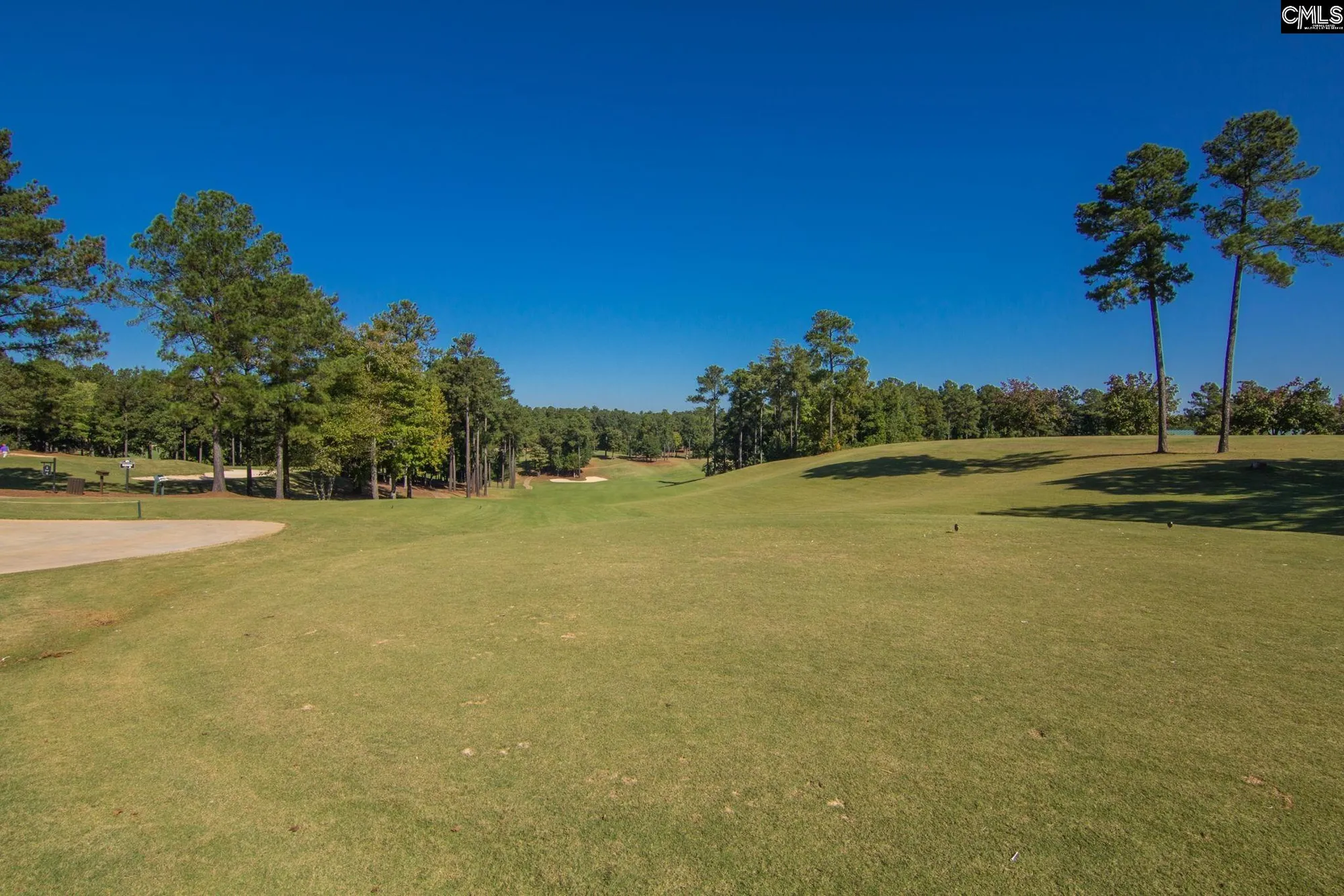 Property Slideshow image 46 of 56 | 605 scarlet baby dr, Blythewood, SC, 29016