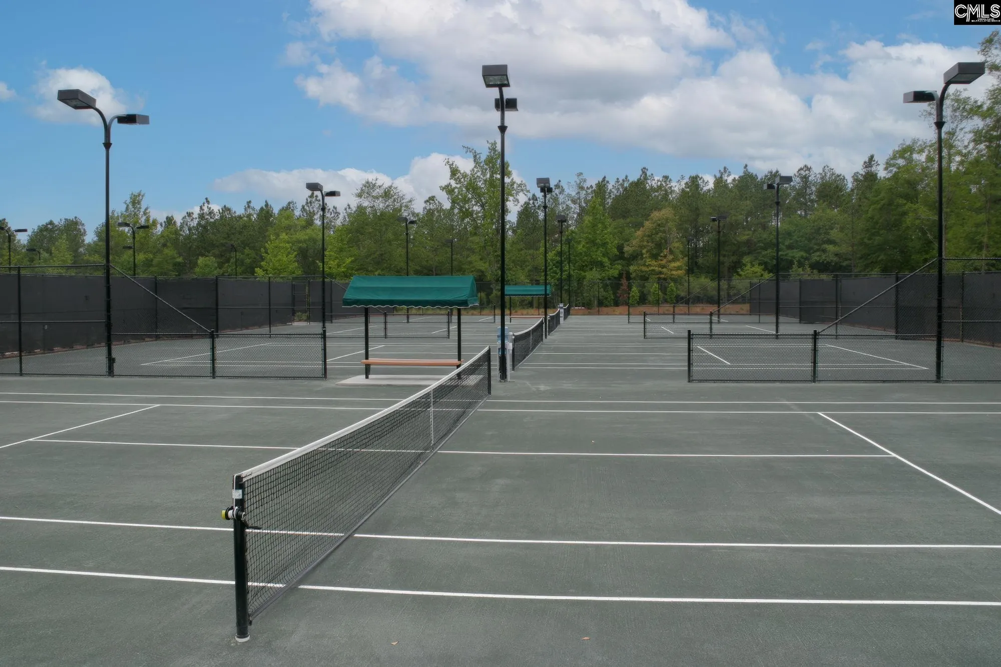 Property Slideshow image 54 of 56 | 605 scarlet baby dr, Blythewood, SC, 29016