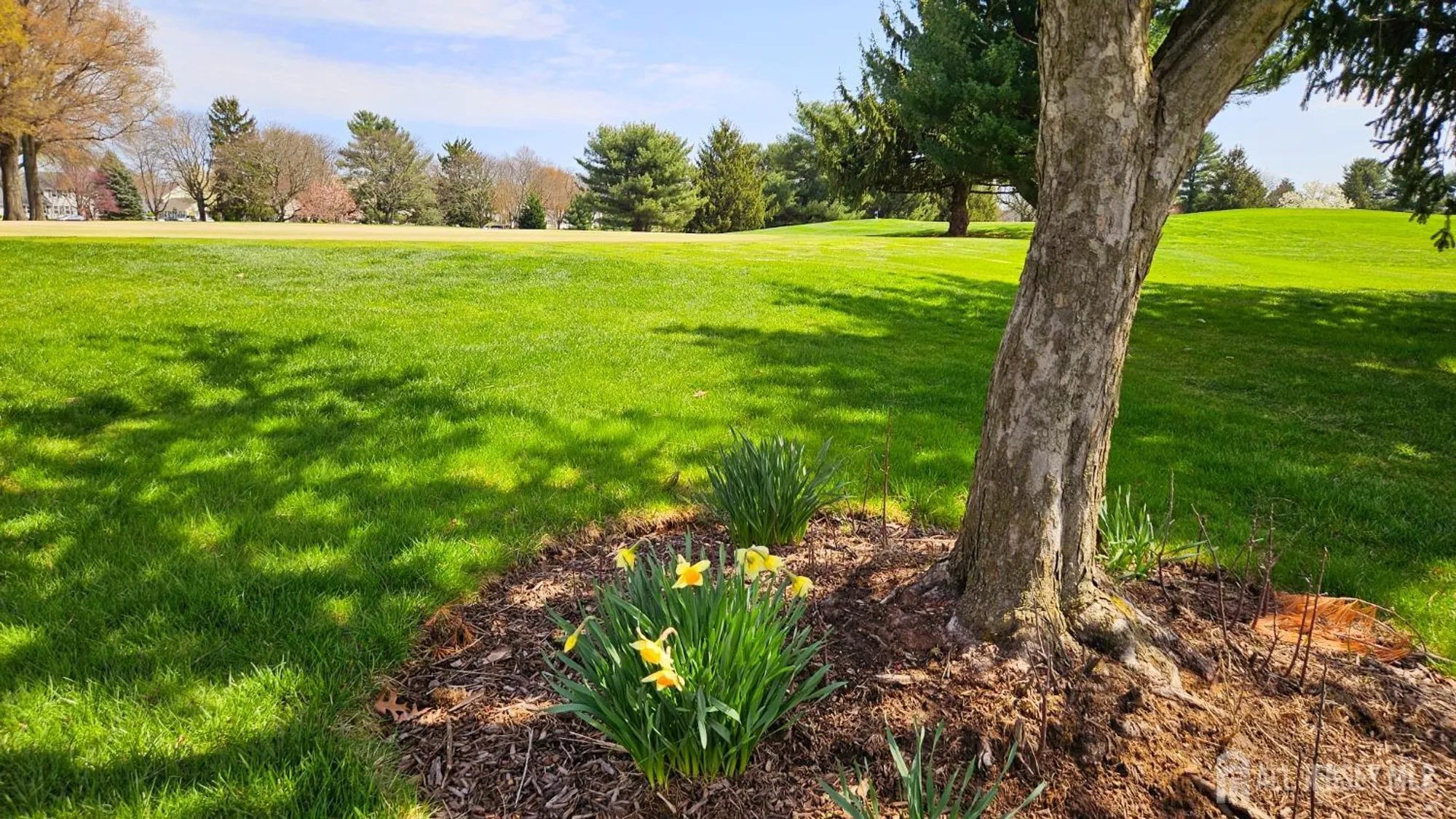 Property Slideshow image 23 of 31 | 467 new haven way a, Monroe, NJ, 08831