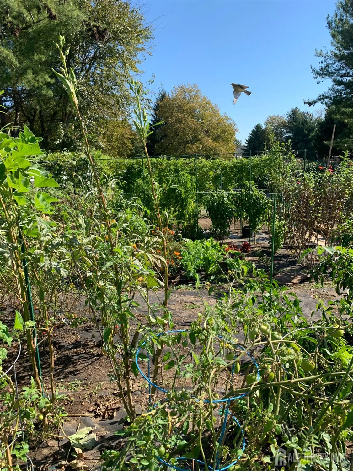 Property Slideshow image 27 of 36 | 69a winthrop rd, Monroe, NJ, 08831