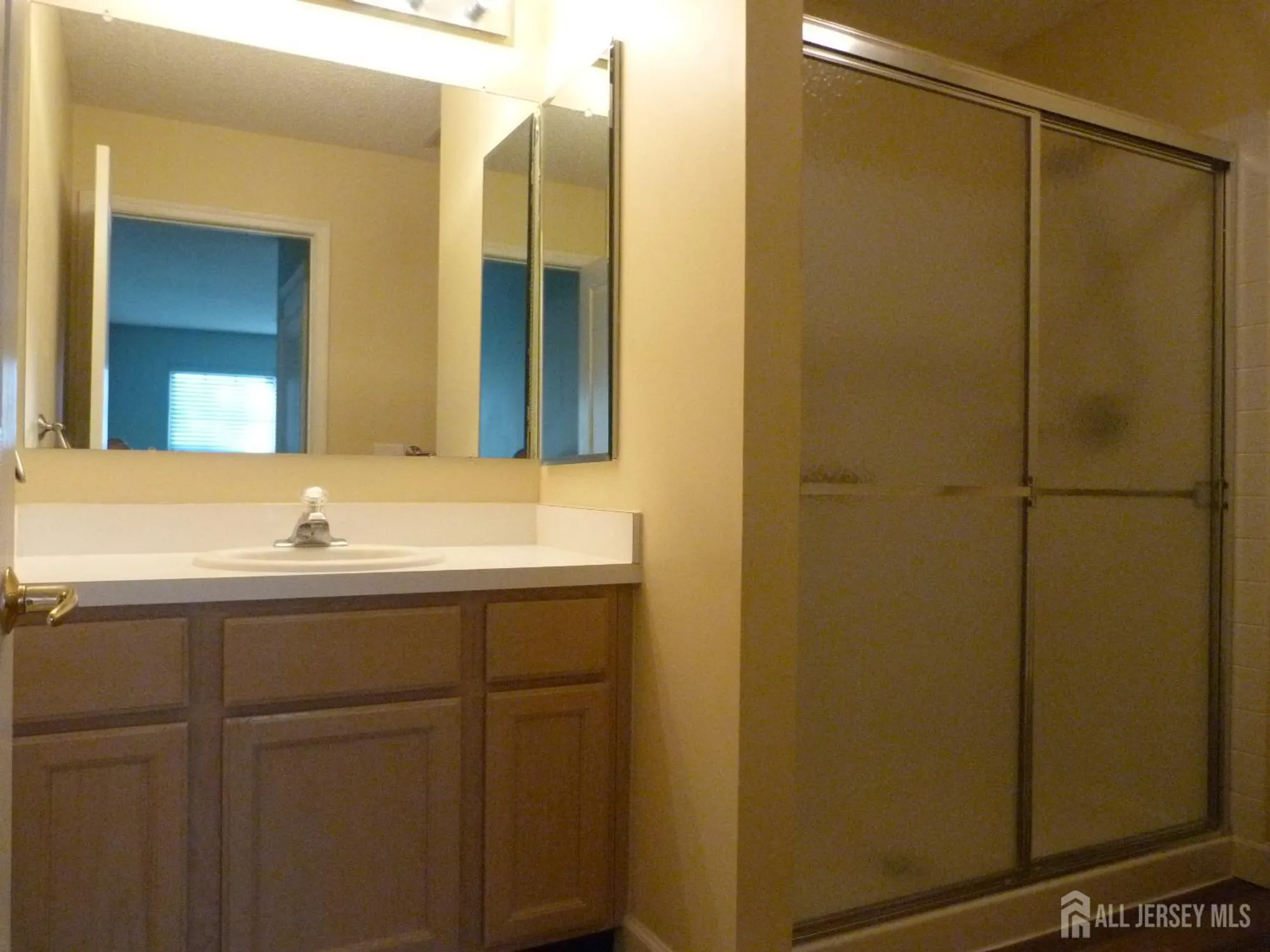 Property Slideshow image 10 of 17 | 249 nighthawk dr, Monroe, NJ, 08831