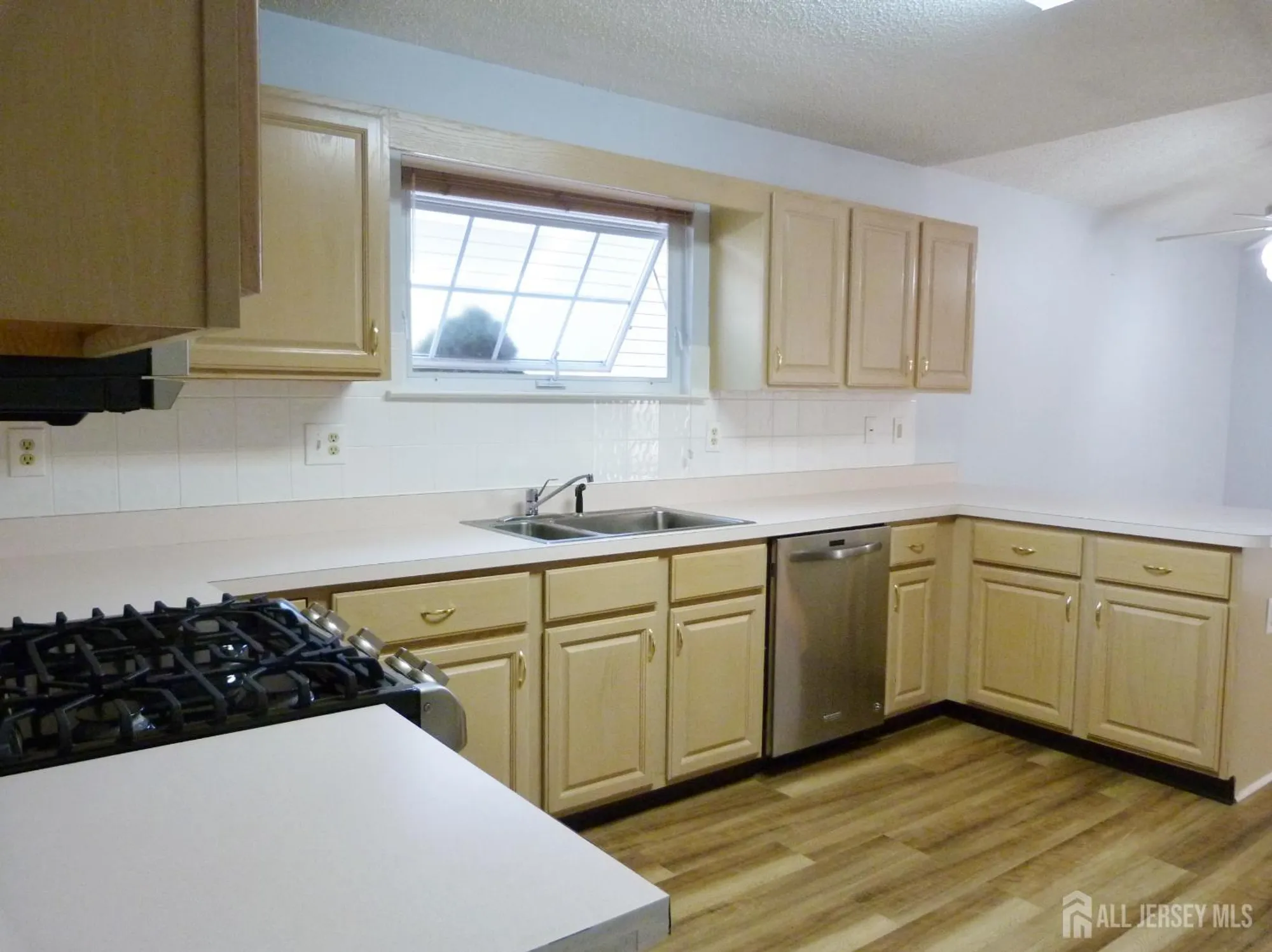 Property Slideshow image 3 of 17 | 249 nighthawk dr, Monroe, NJ, 08831