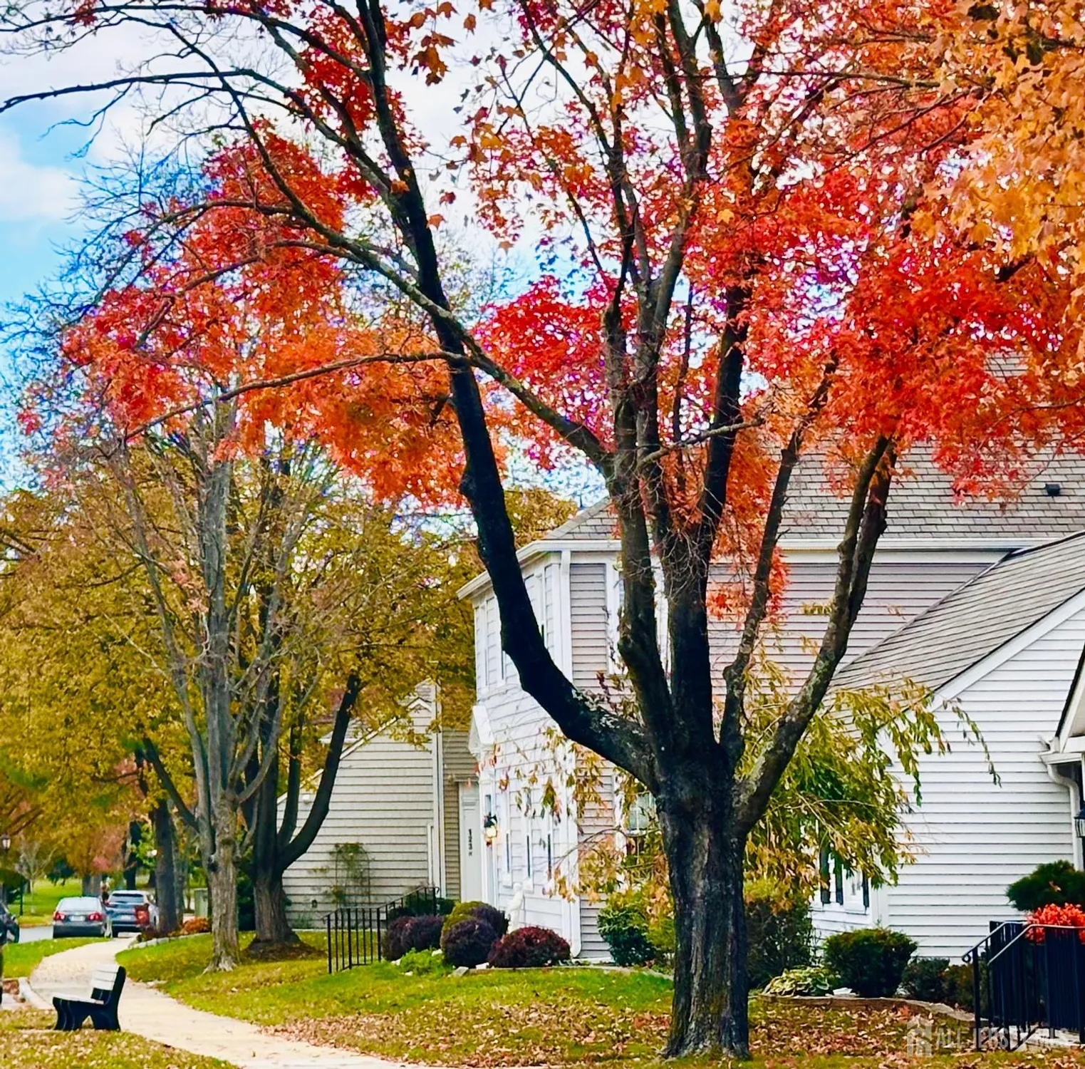 Property Slideshow image 6 of 22 | 234 marblehead ln a, Monroe, NJ, 08831