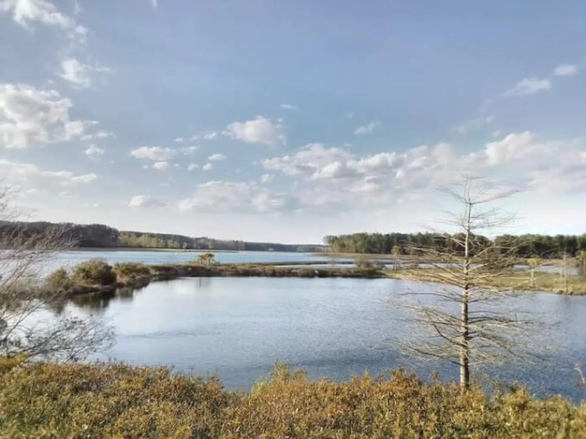 Property Slideshow image 77 of 80 | 758 maynard ln, Summerville, SC, 29486