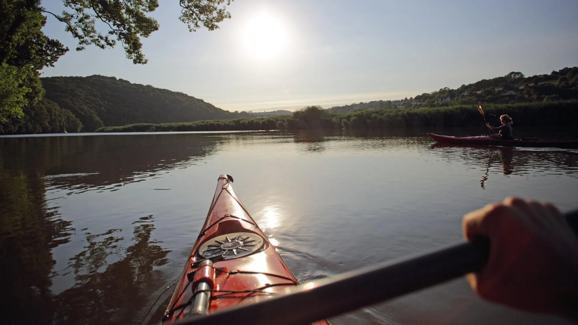 Property Slideshow image 6 of 7 | 160 summerwind dr, Summerville, SC, 29486