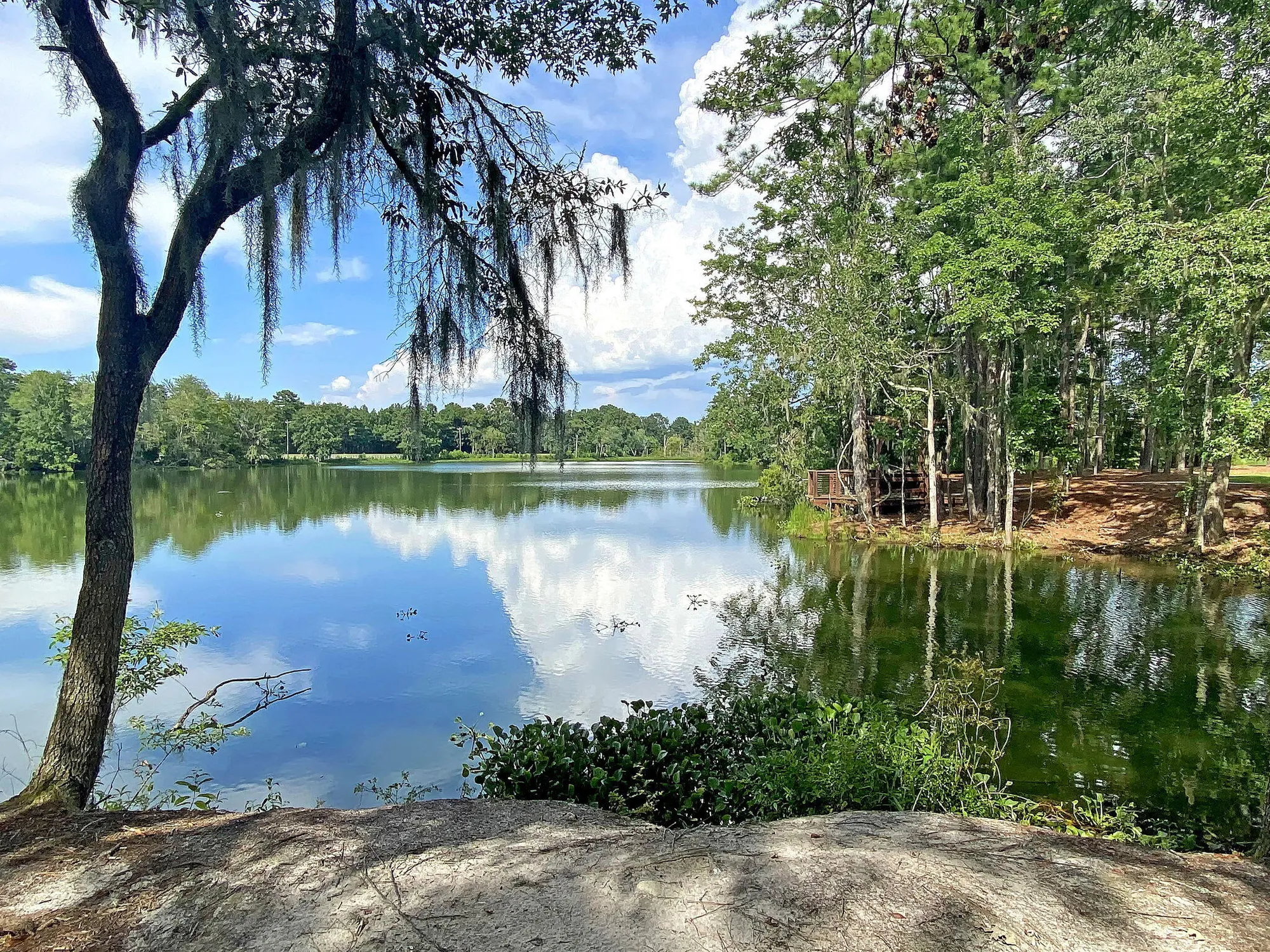 Property Slideshow image 58 of 60 | 1150 cooper point st, Summerville, SC, 29485