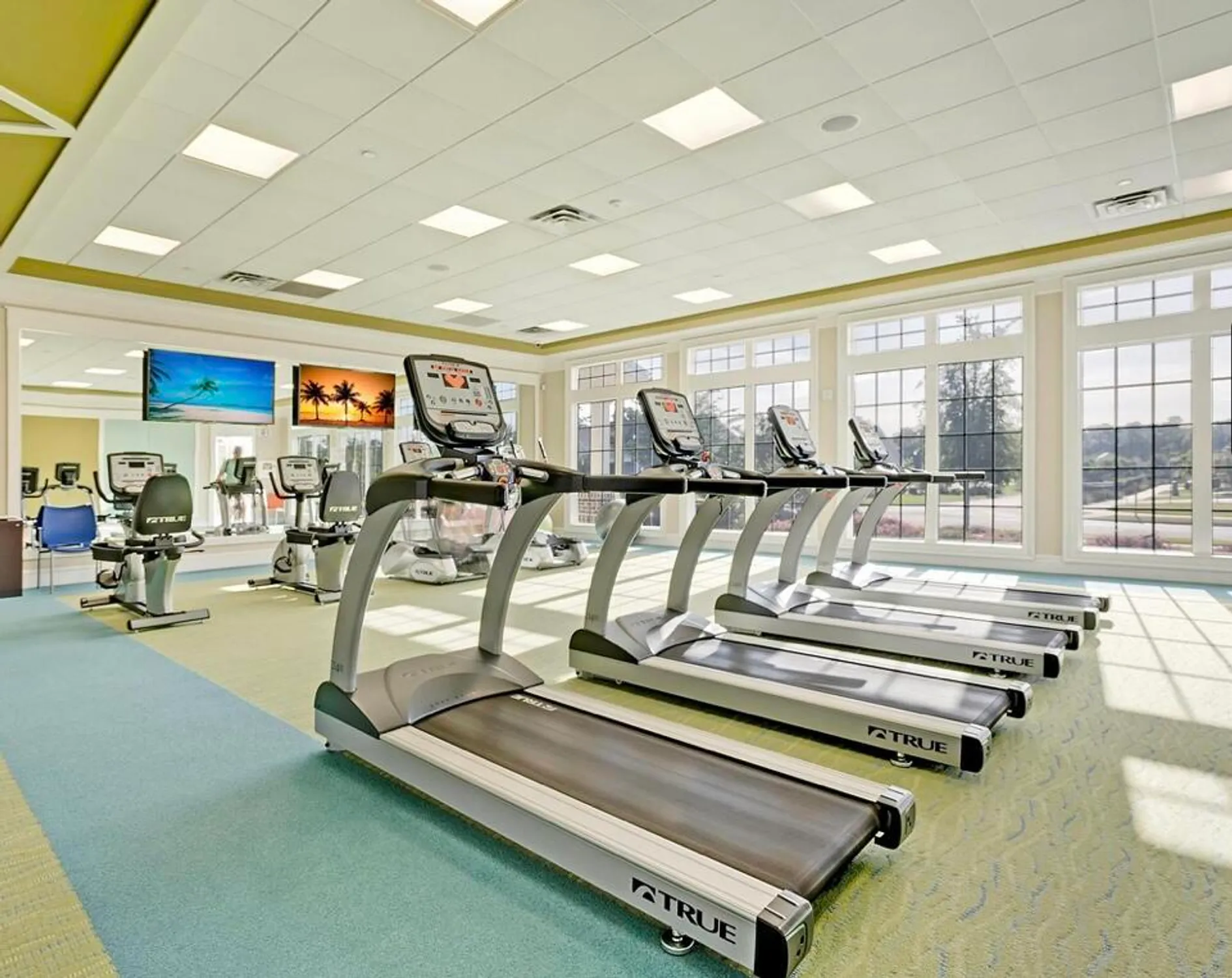 Property Slideshow image 53 of 64 | 6016 wild azalea rd, Summerville, SC, 29483