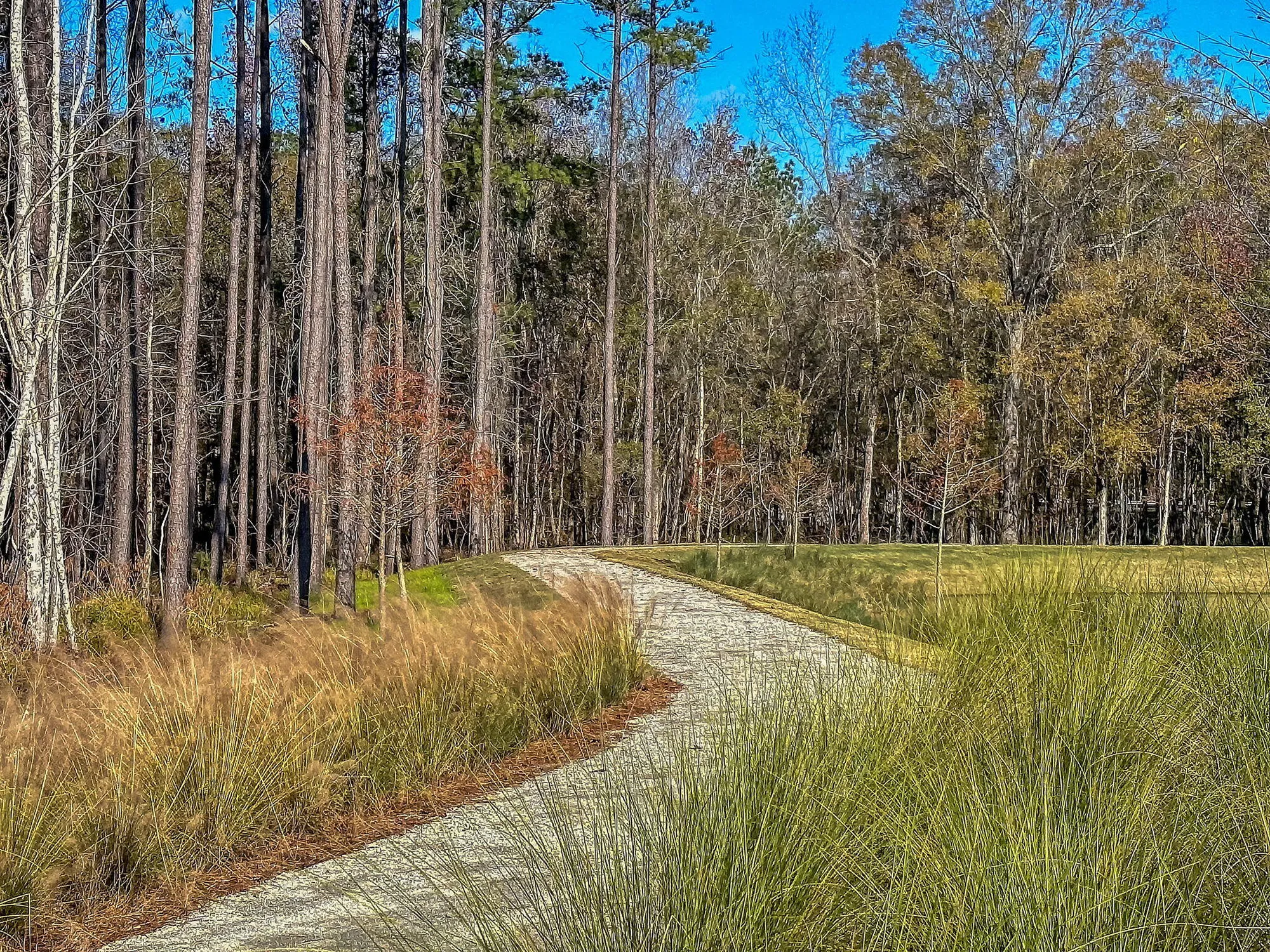 Property Slideshow image 56 of 58 | 1213 locals st, Summerville, SC, 29485