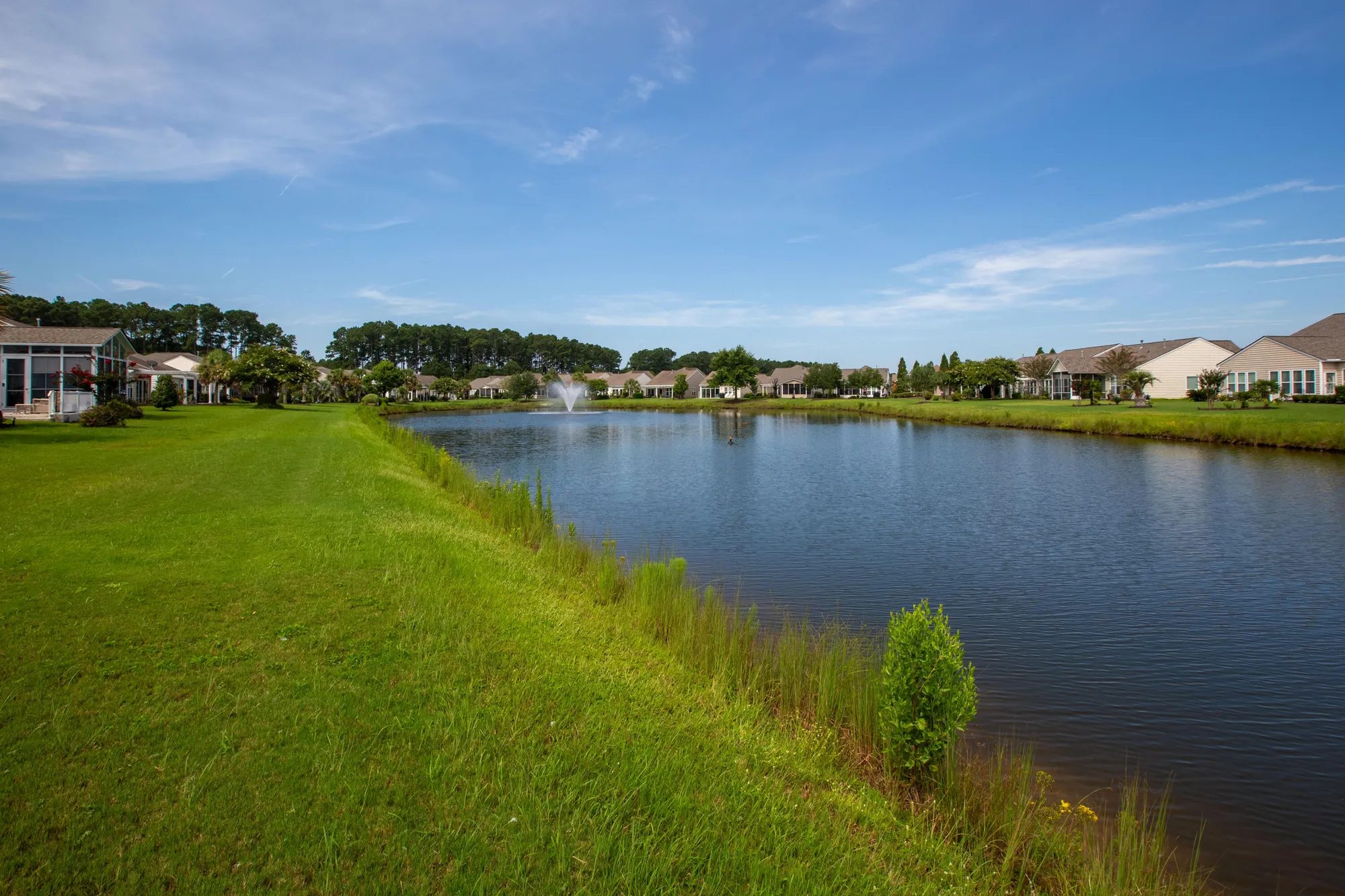 Property Slideshow image 43 of 56 | 184 sea lavender ln, Summerville, SC, 29486