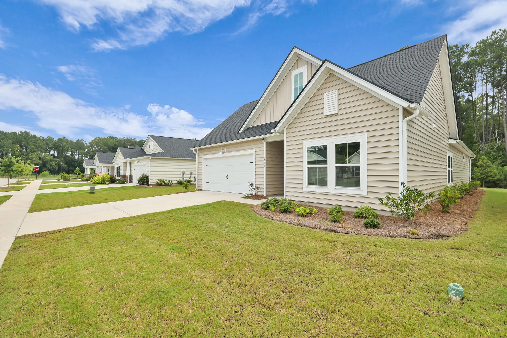 Property Slideshow image 48 of 57 | 1011 locals st, Summerville, SC, 29485