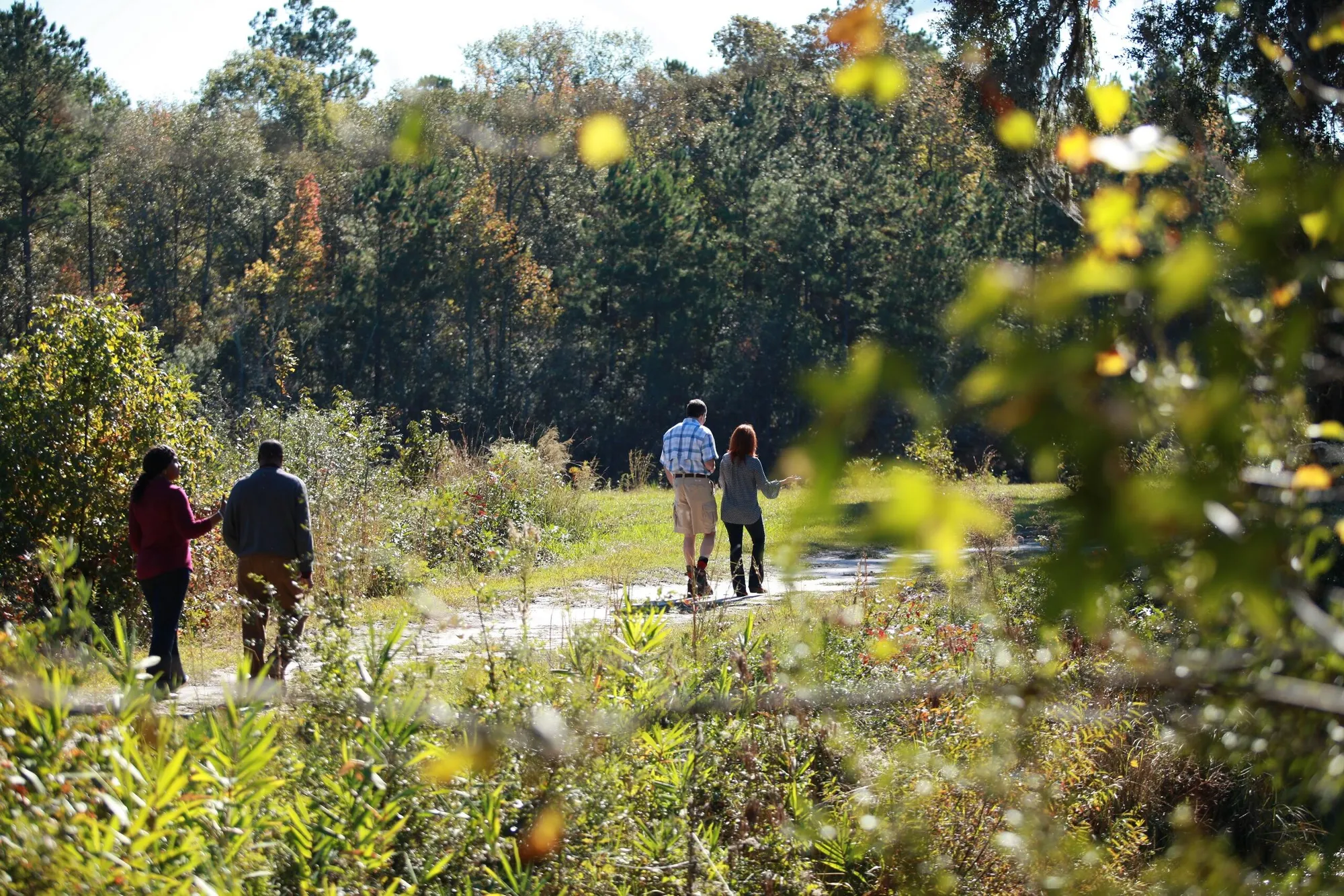Property Slideshow image 43 of 50 | 131 collared dove ct, Summerville, SC, 29483