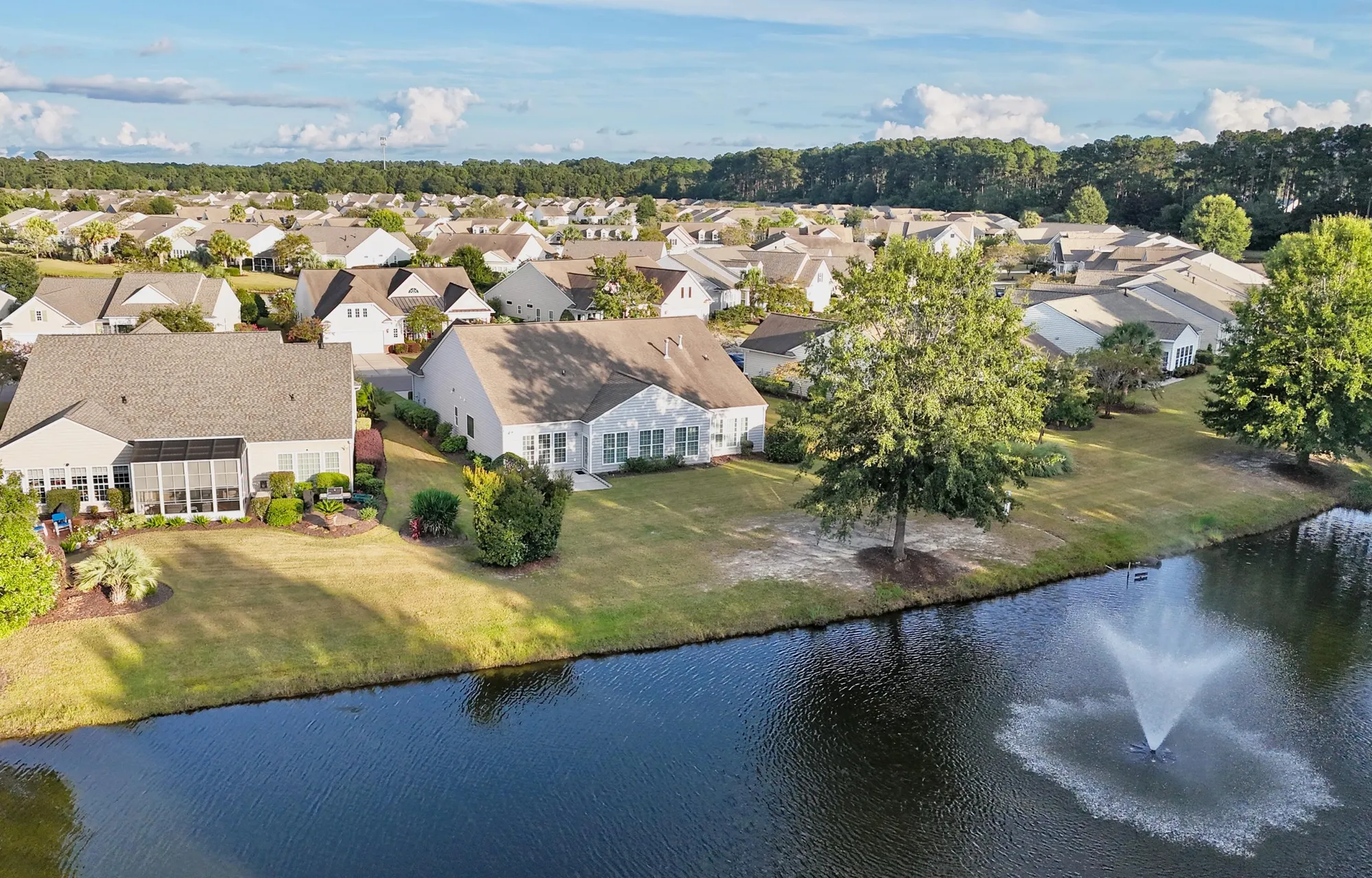 Property Slideshow image 4 of 46 | 349 waterlily way, Summerville, SC, 29486