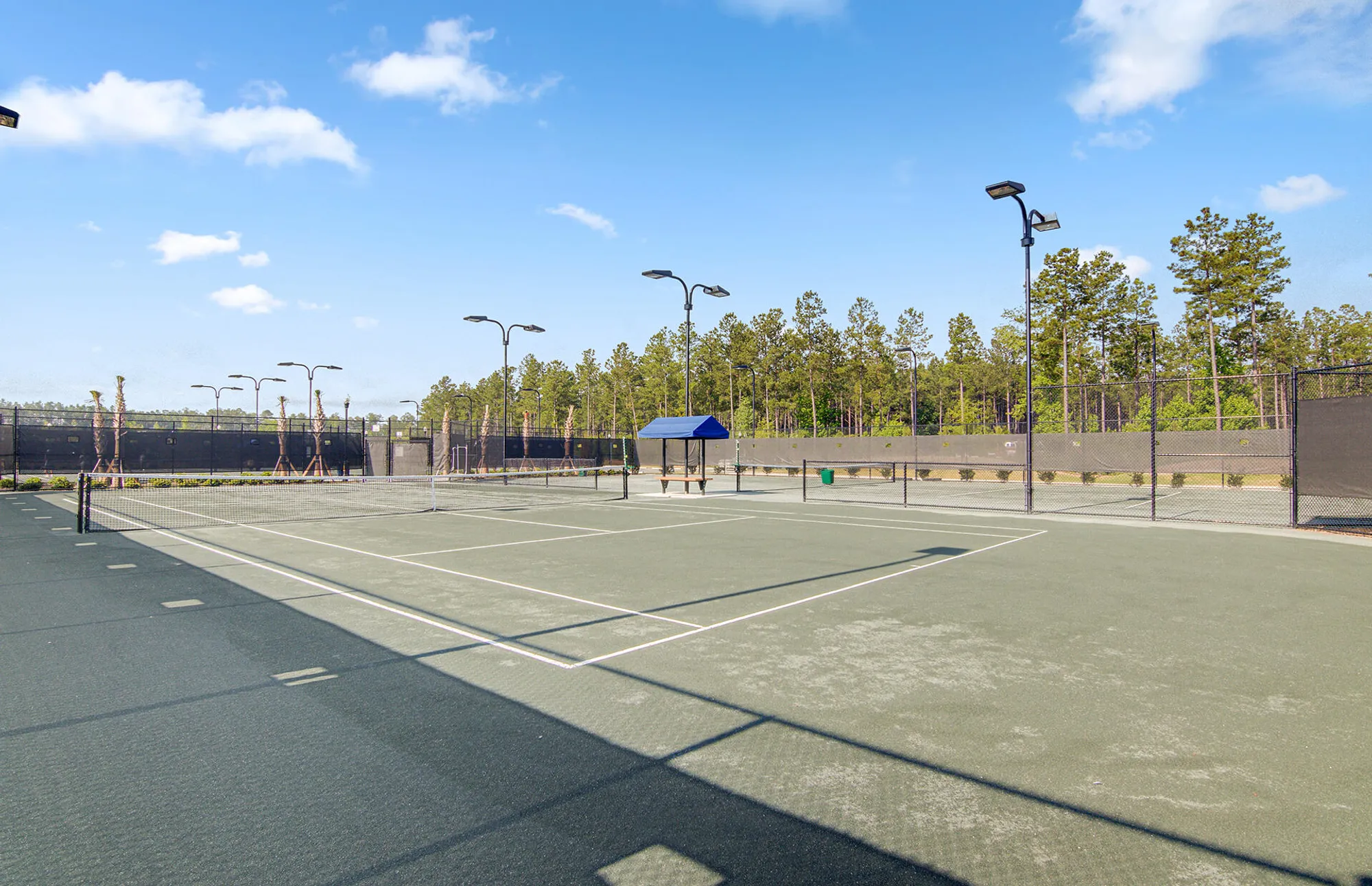 Property Slideshow image 81 of 81 | 463 four seasons blvd, Summerville, SC, 29486