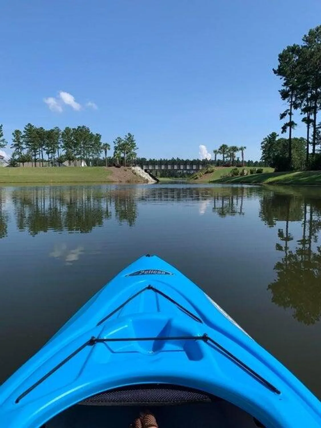 Property Slideshow image 80 of 97 | 497 four seasons blvd, Summerville, SC, 29486