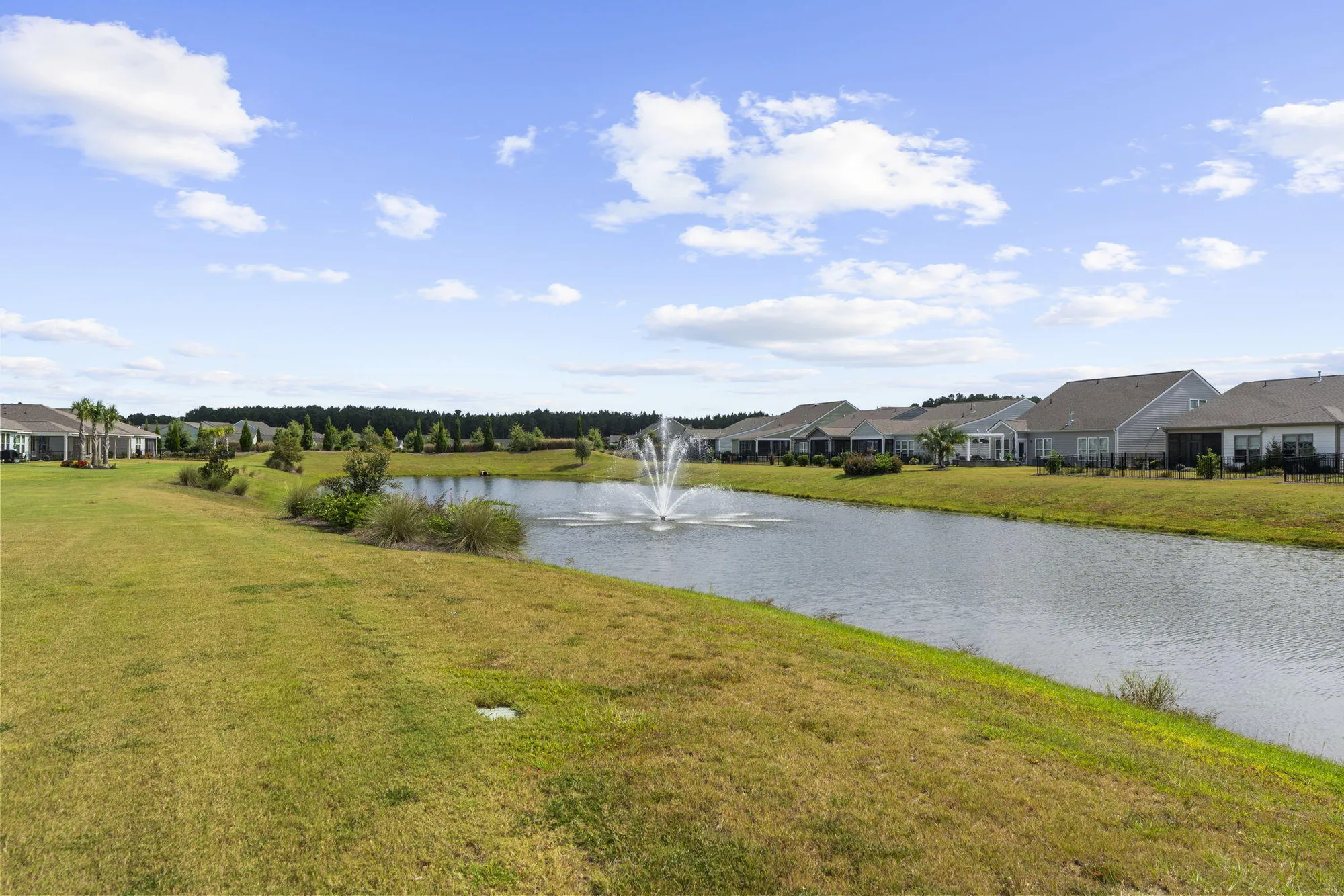 Property Slideshow image 34 of 50 | 351 dahlia row dr, Summerville, SC, 29486