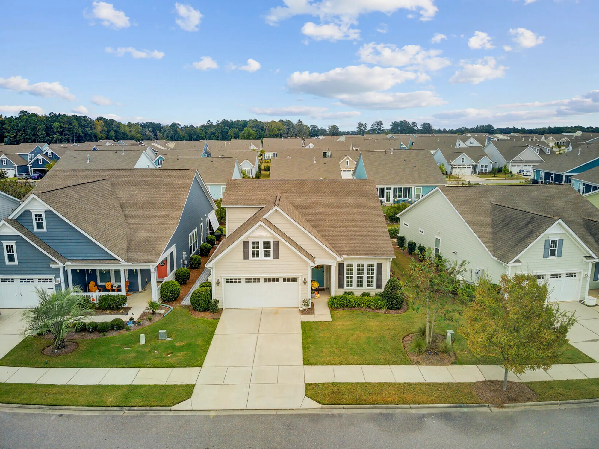 Property Slideshow image 50 of 57 | 3139 cross vine ln, Summerville, SC, 29483