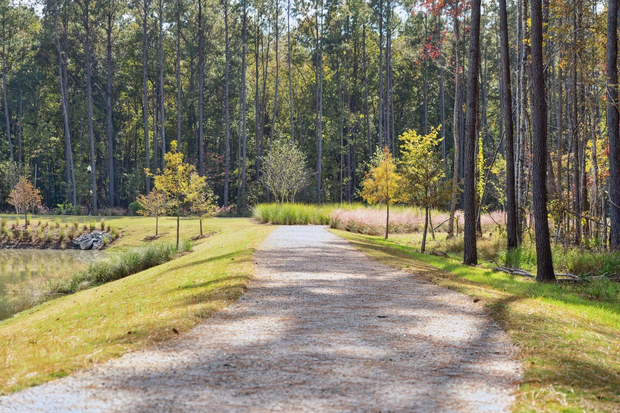Property Slideshow image 21 of 31 | 1674 locals st, Summerville, SC, 29485