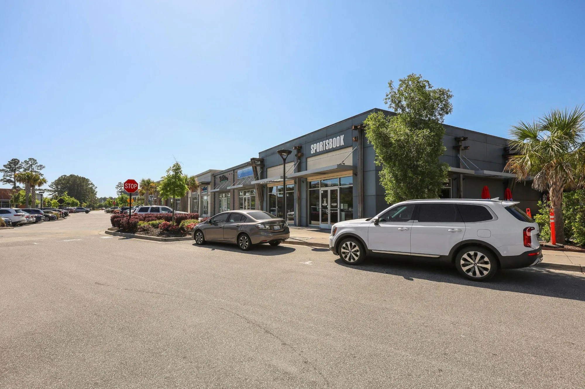 Property Slideshow image 75 of 77 | 133 potters pass dr, Summerville, SC, 29486