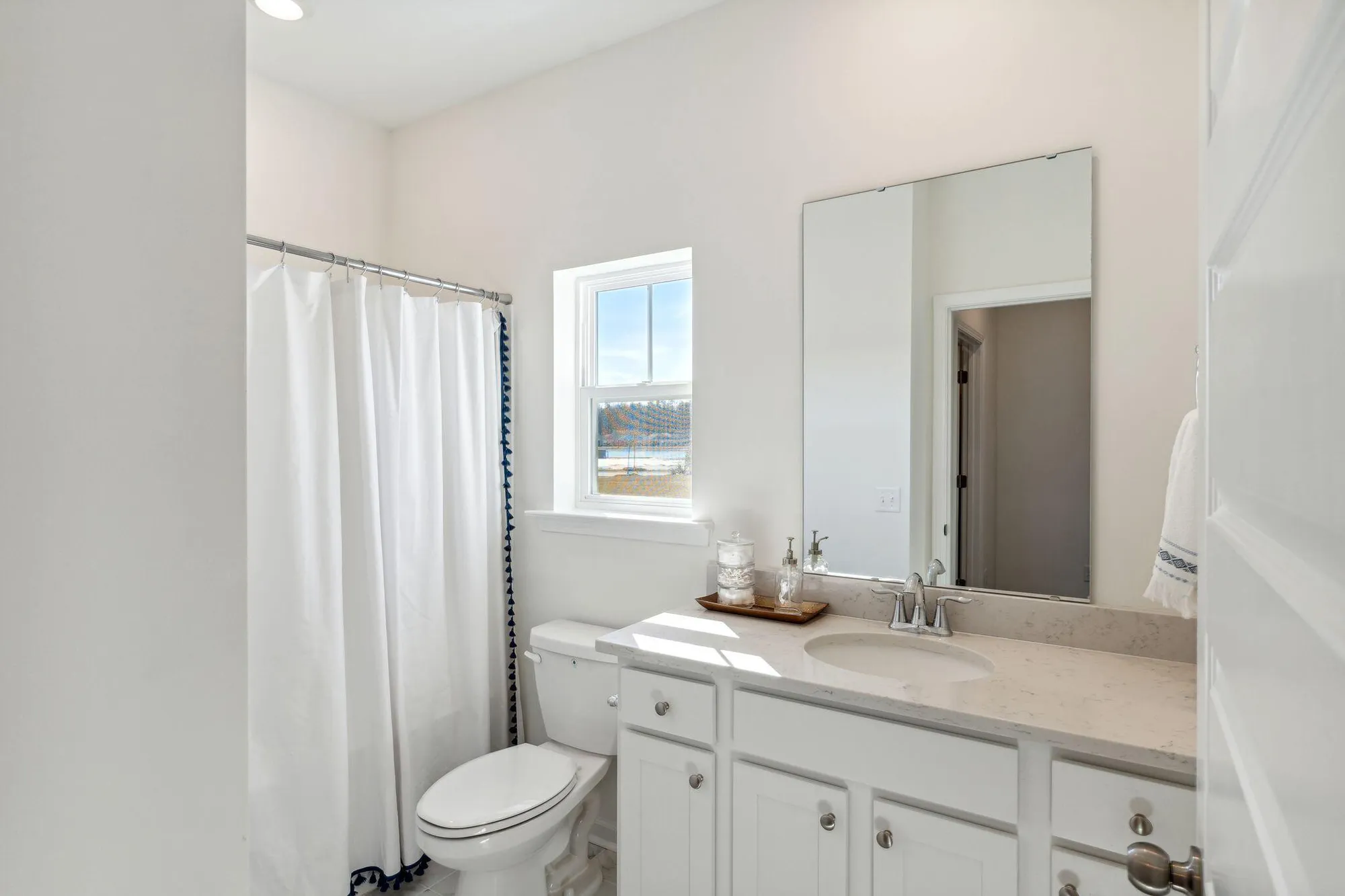 Property Slideshow image 11 of 12 | 1688 locals st, Summerville, SC, 29485