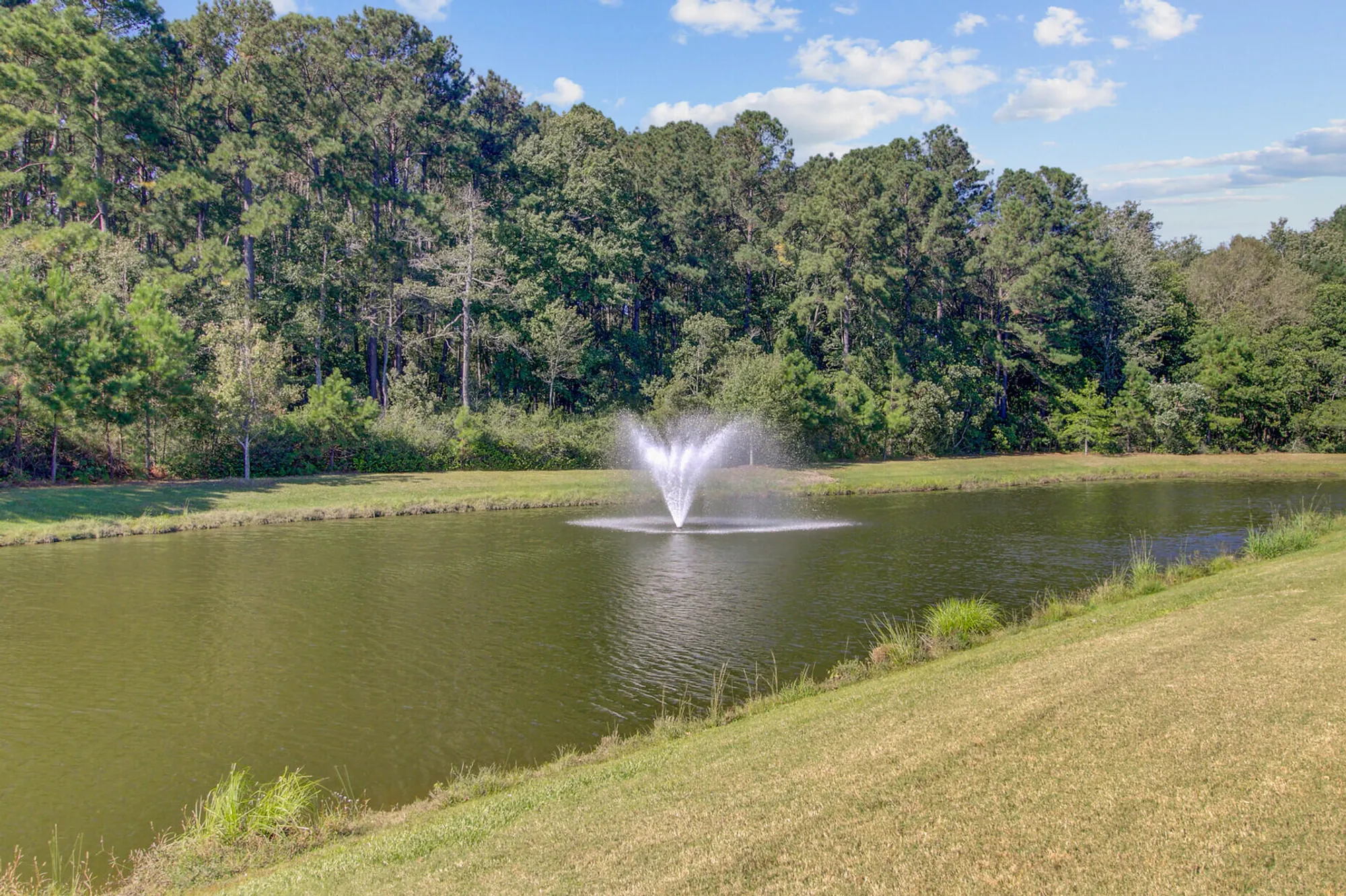 Property Slideshow image 33 of 46 | 542 sea foam st, Summerville, SC, 29486
