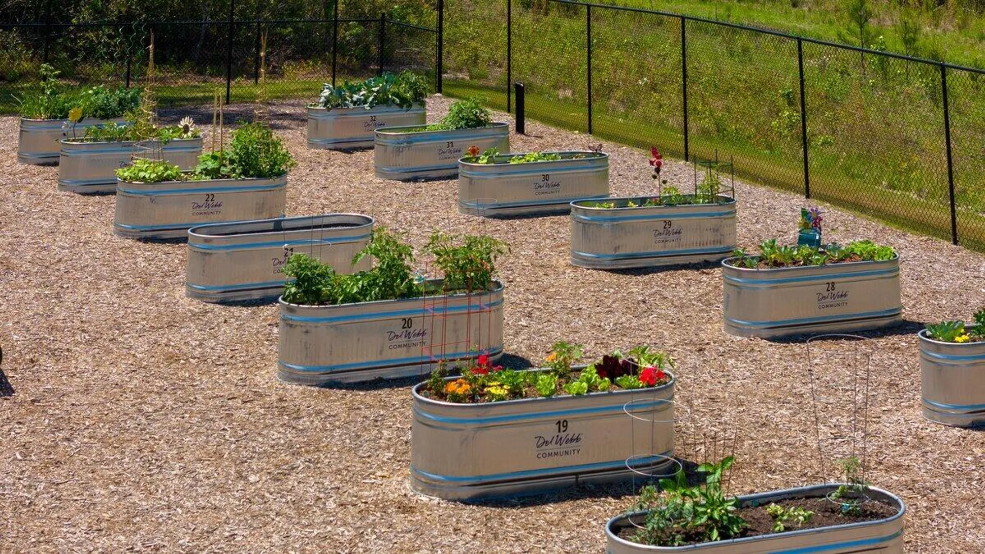 Property Slideshow image 60 of 60 | 107 potters pass dr, Summerville, SC, 29486