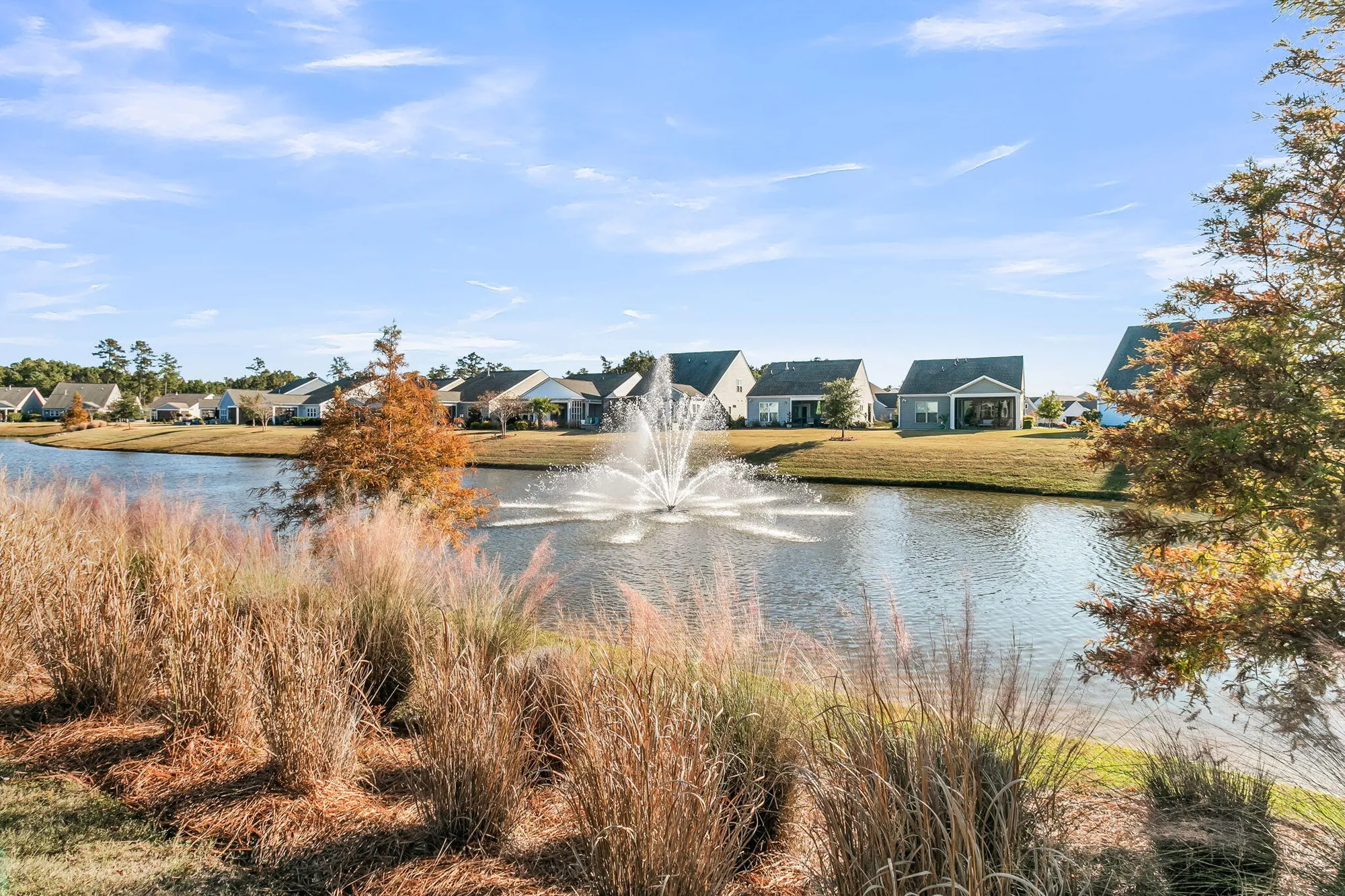 Property Slideshow image 36 of 60 | 107 potters pass dr, Summerville, SC, 29486