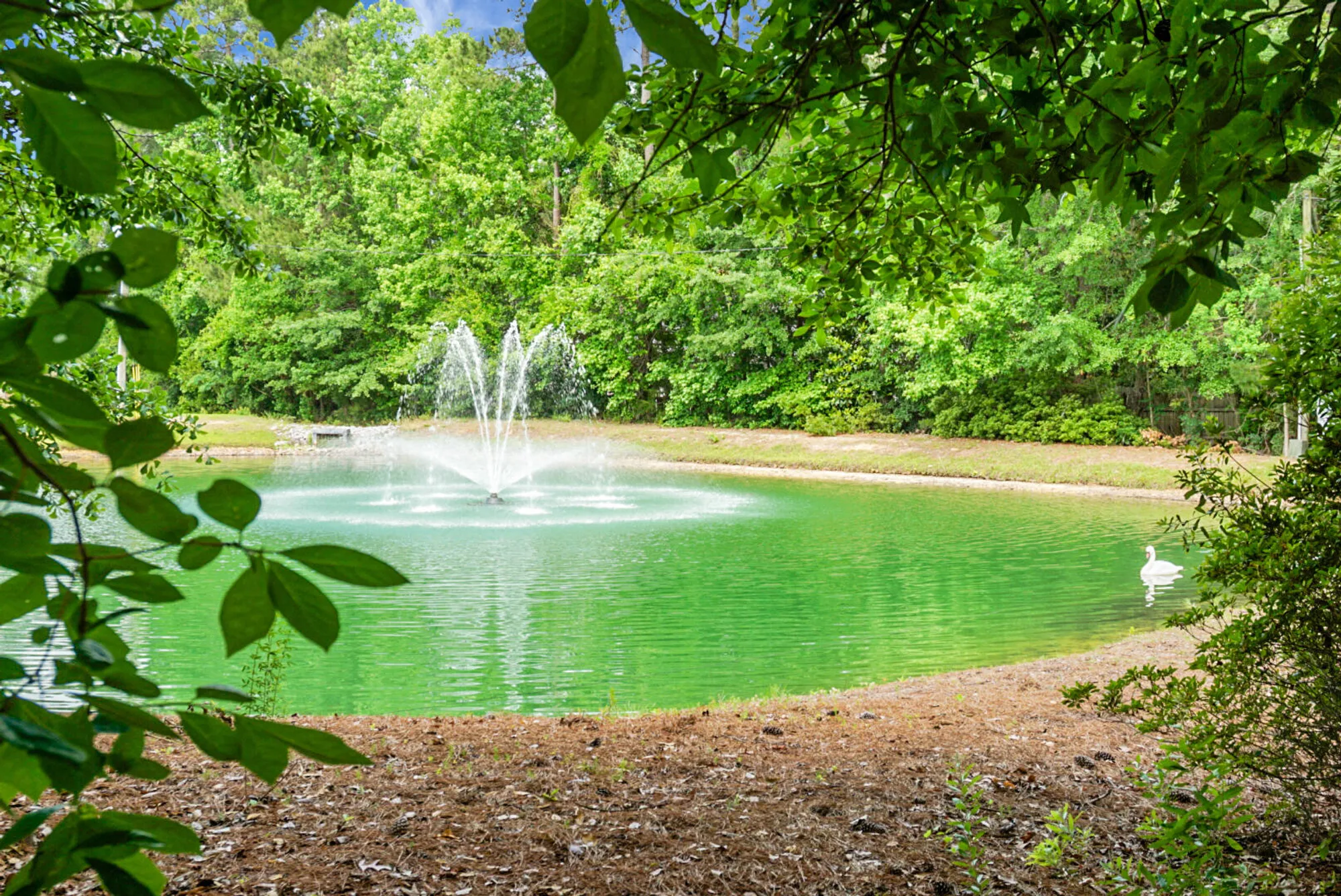 Property Slideshow image 55 of 55 | 184 angora way, Summerville, SC, 29485