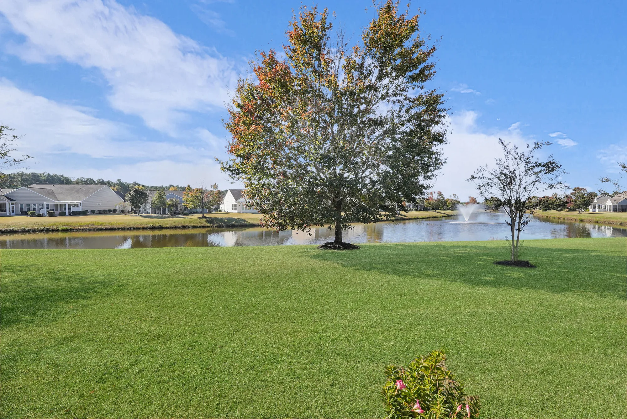 Property Slideshow image 17 of 22 | 111 harbor point ct, Summerville, SC, 29486