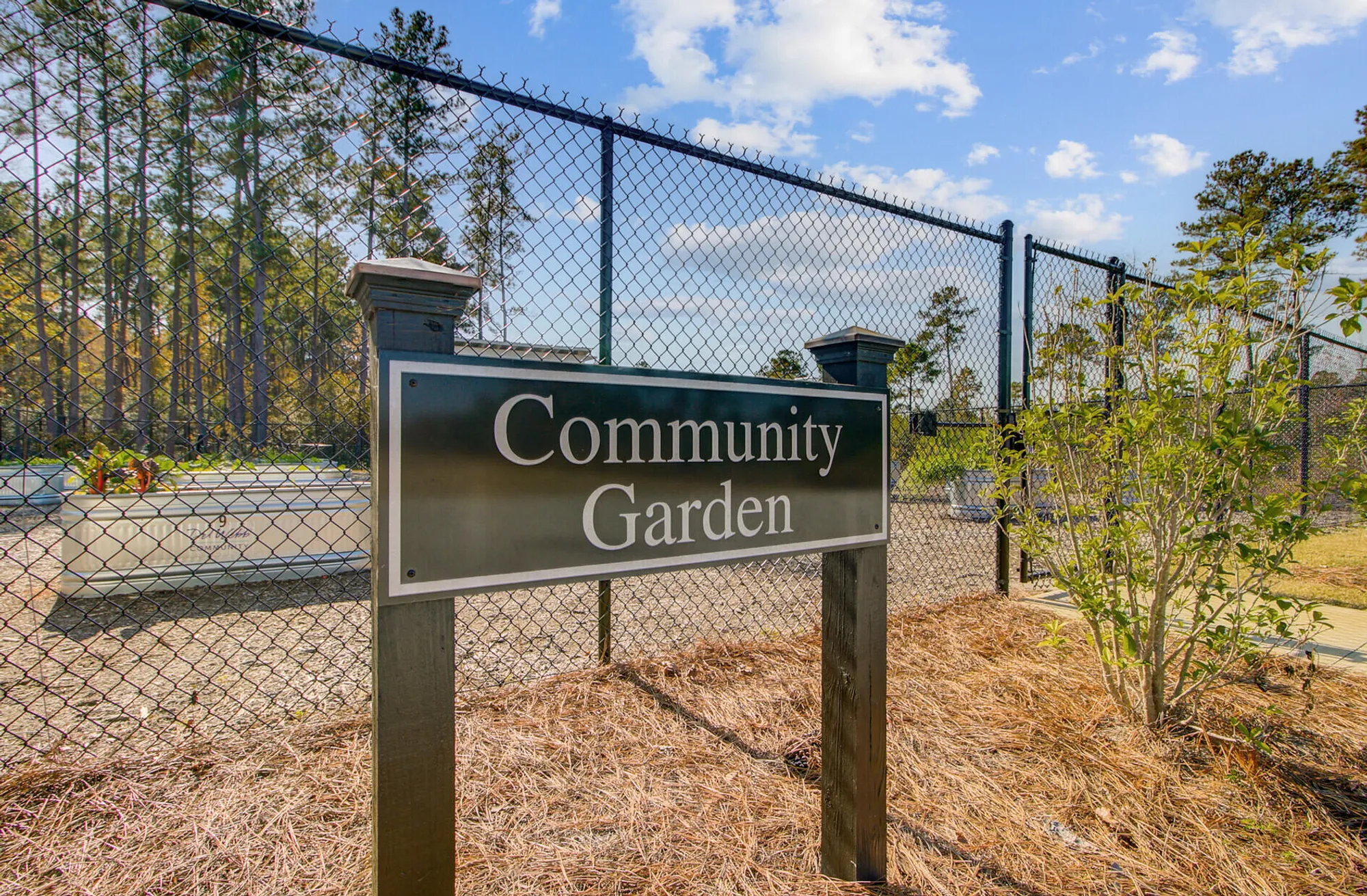 Property Slideshow image 101 of 103 | 771 blue iris way, Summerville, SC, 29486