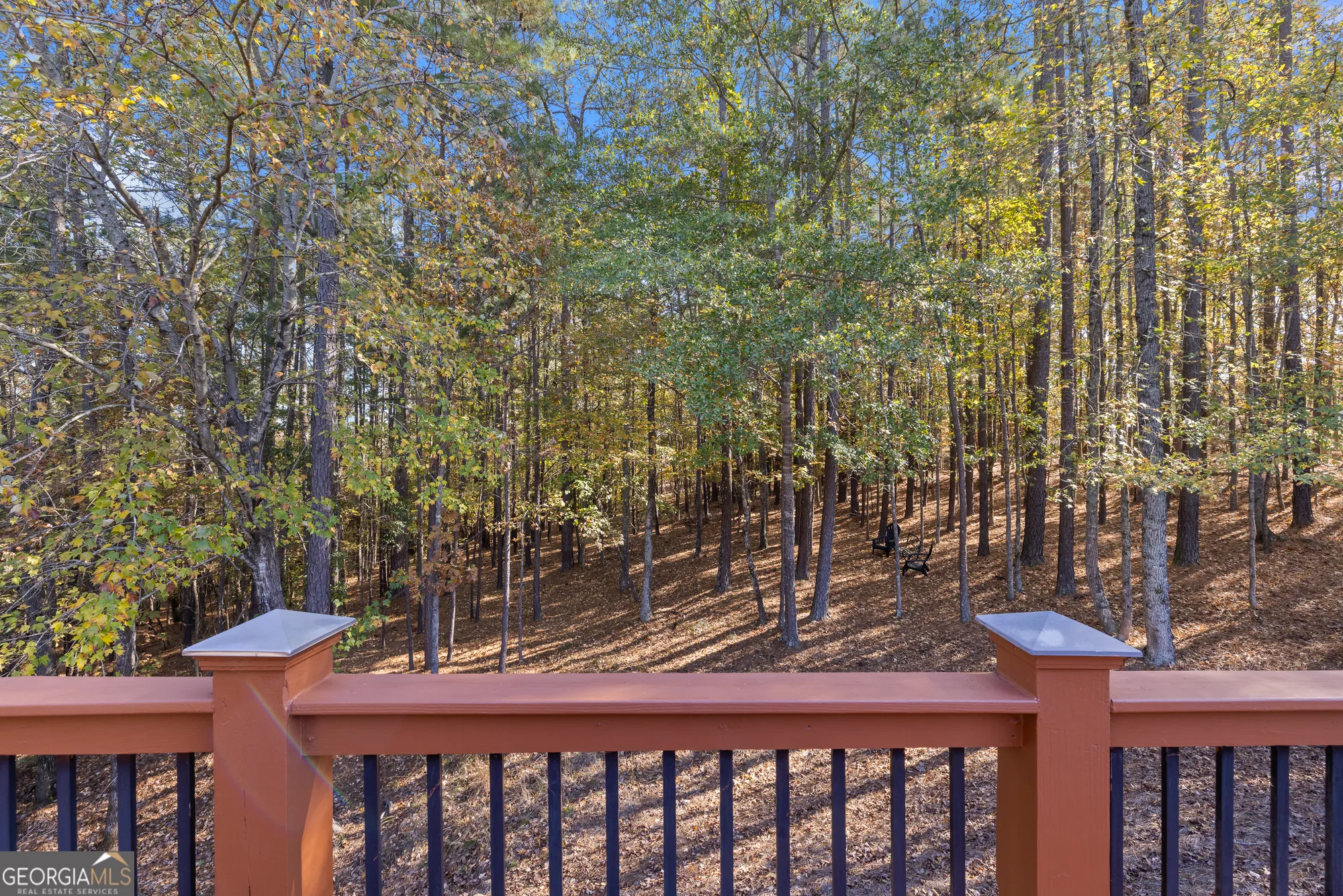 Property Slideshow image 58 of 59 | 1031 delconee pl, Greensboro, GA, 30642