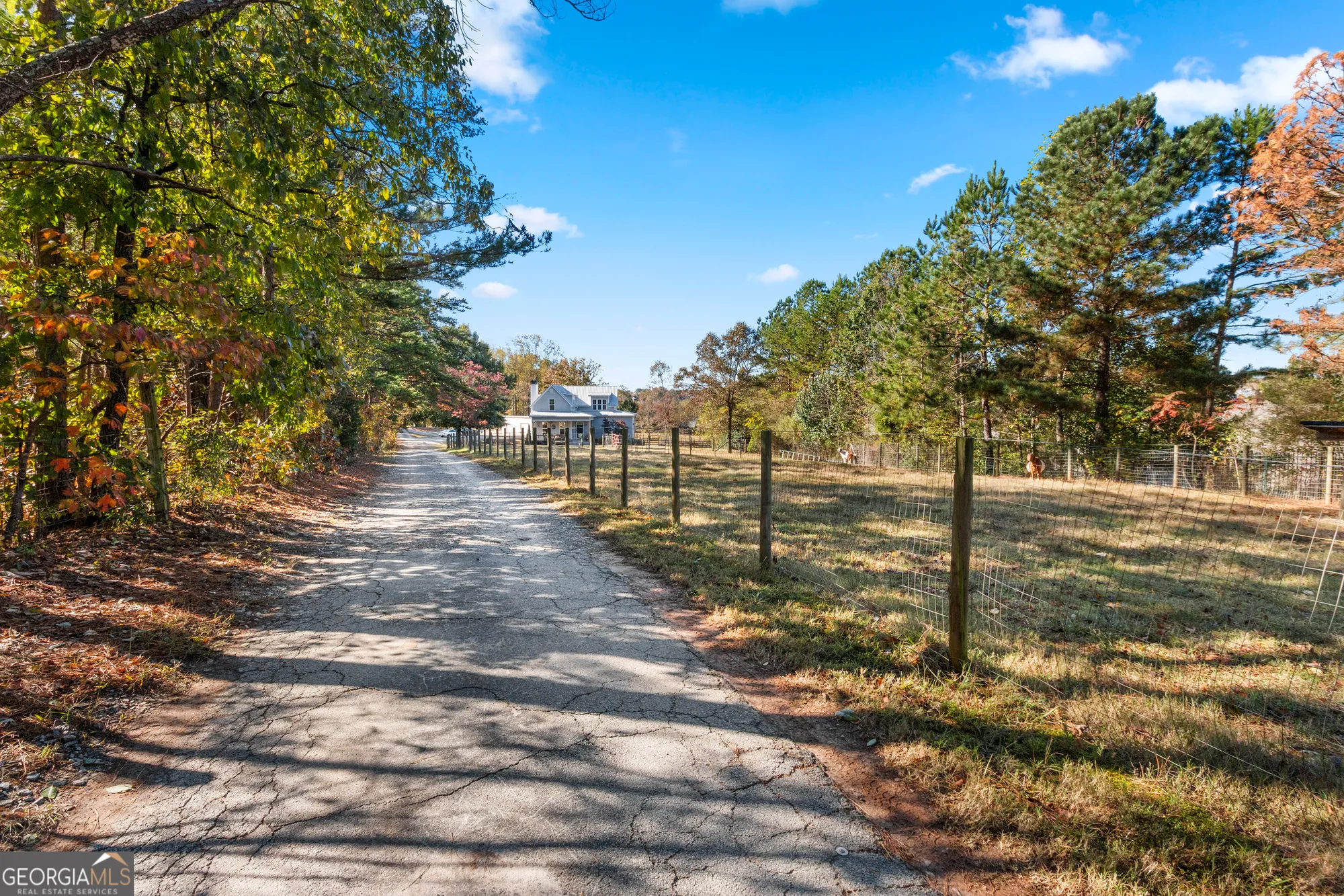 Property Slideshow image 48 of 51 | 6435 looper lake dr, Flowery Branch, GA, 30542