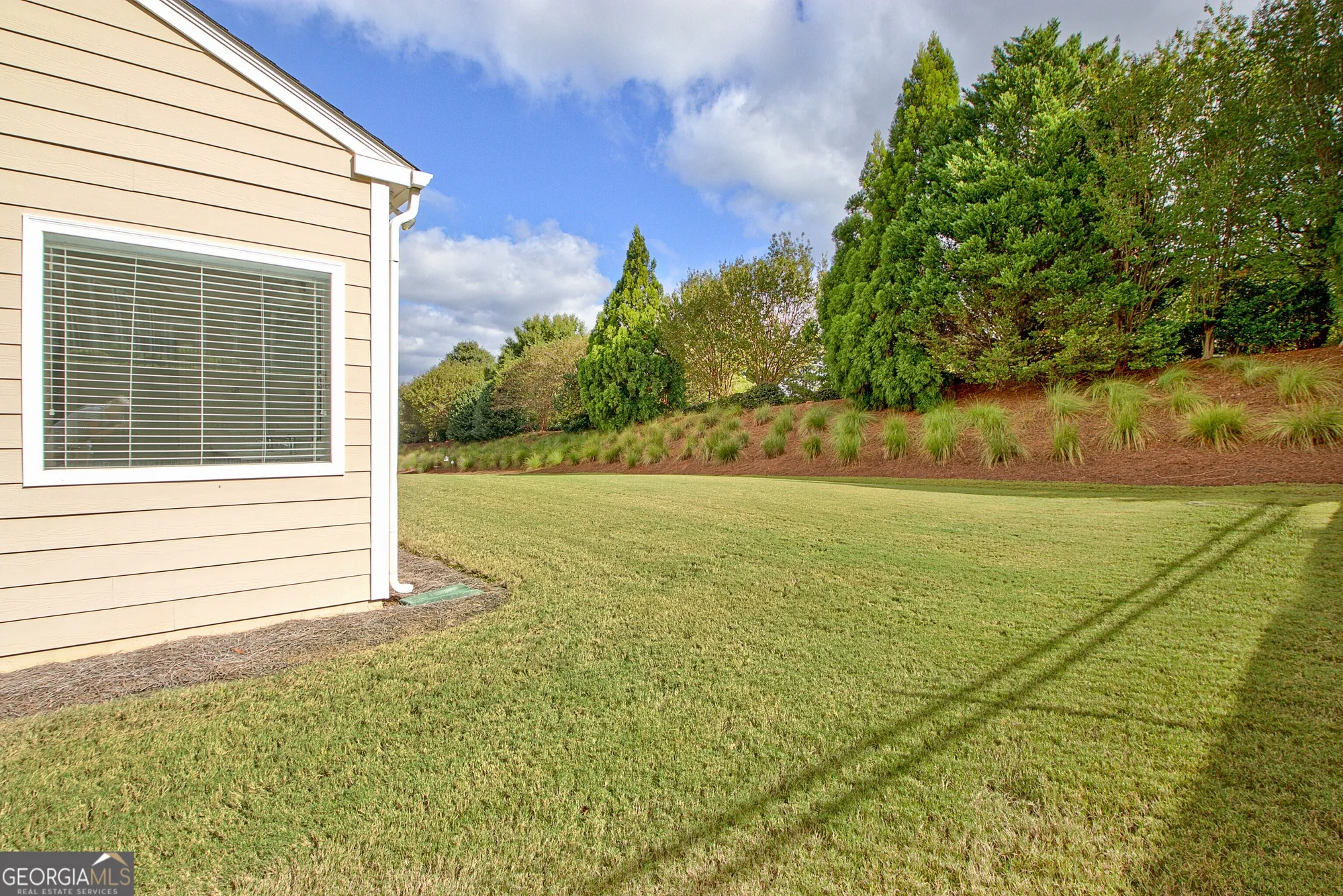 Property Slideshow image 36 of 66 | 305 anna ruby ct, Griffin, GA, 30223