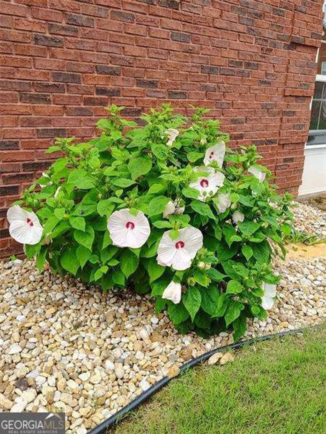 Property Slideshow image 25 of 45 | 8513 spivey village trl, Jonesboro, GA, 30236